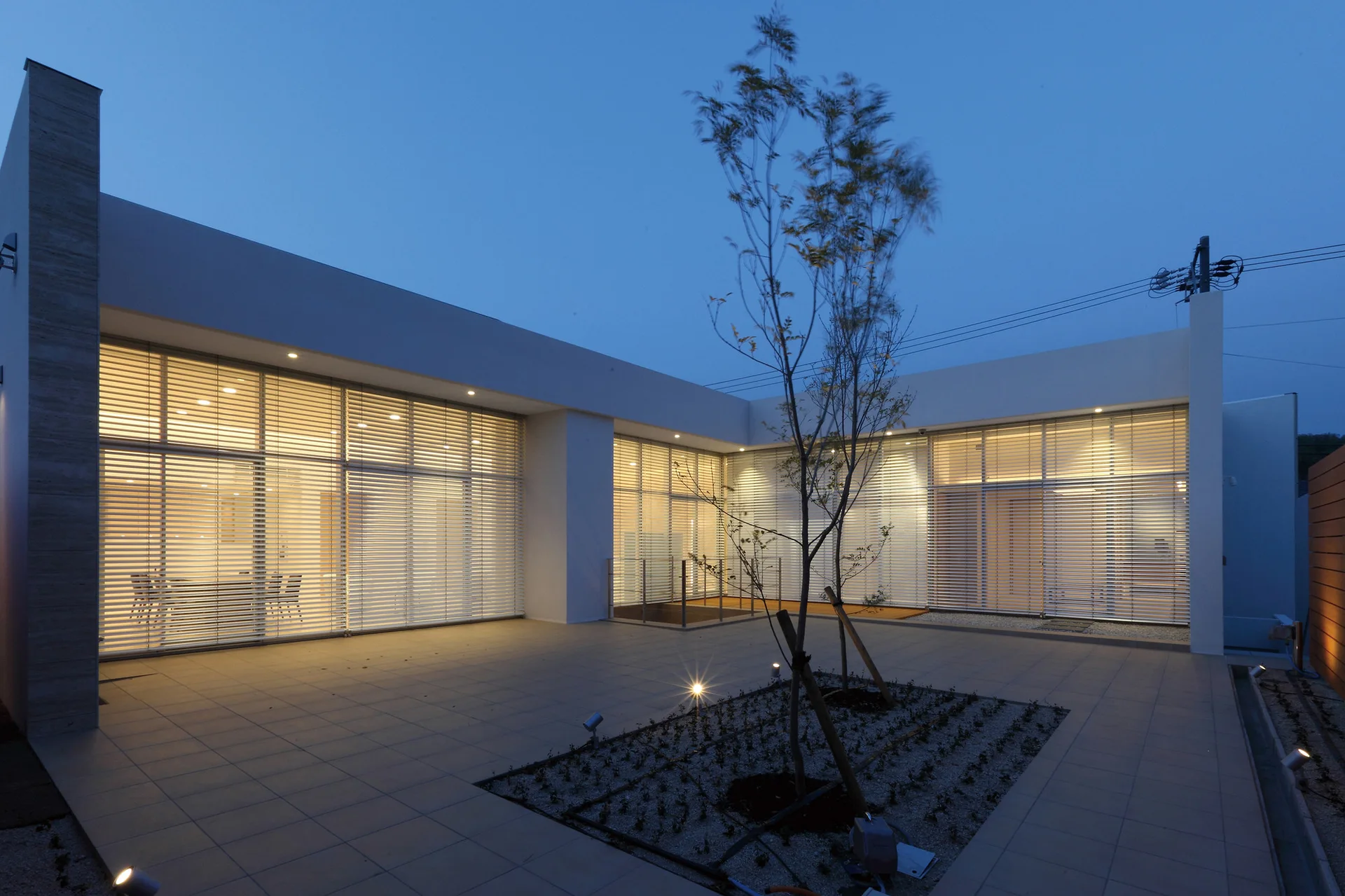 A modern U-shaped home courtyard at dusk featuring paved tiles, a central tree, and large illuminated glass windows with horizontal blinds.