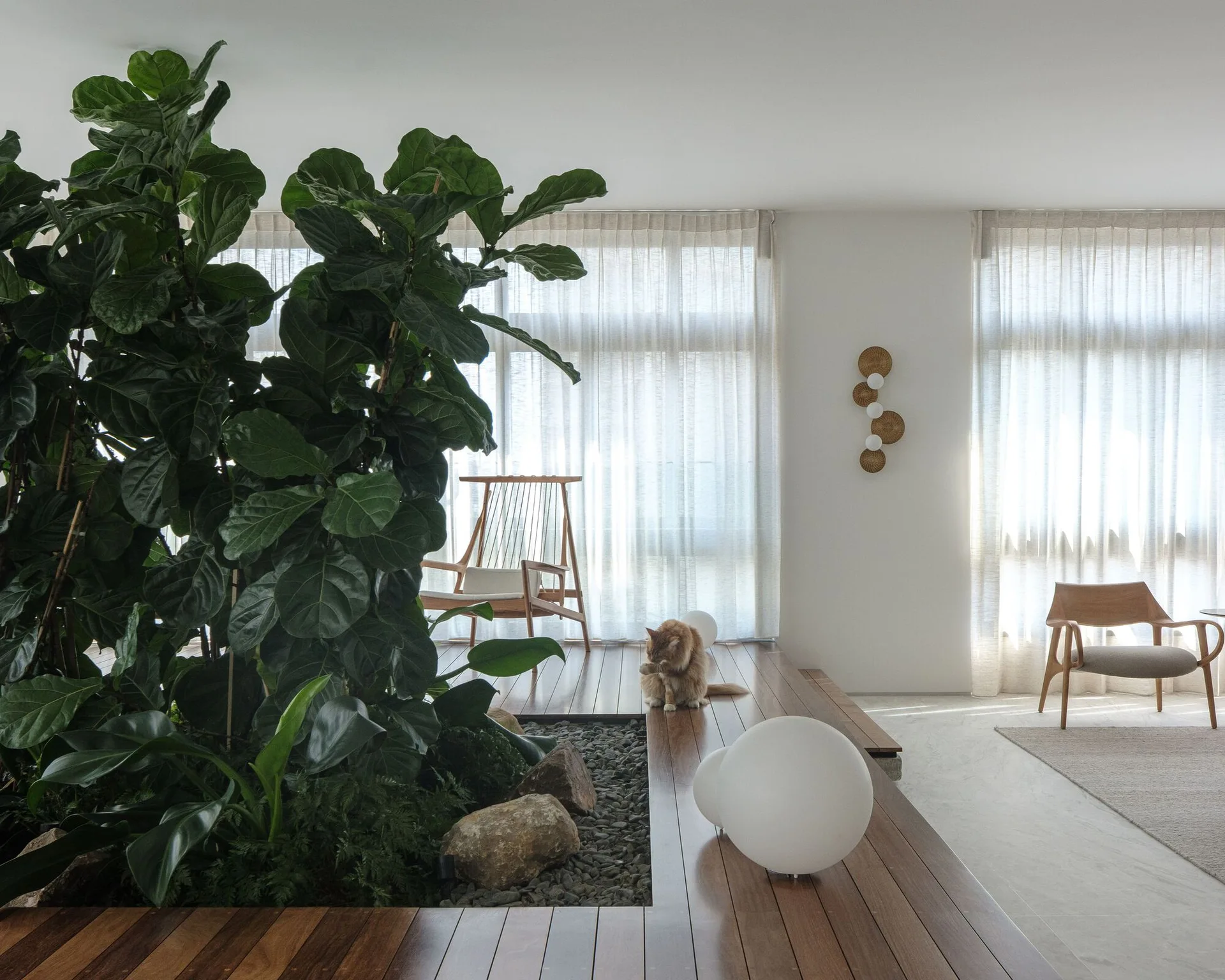 A minimalist living space featuring a large leafy plant in a wooden deck planter with river stones, sheer curtains, and globe floor lamps.