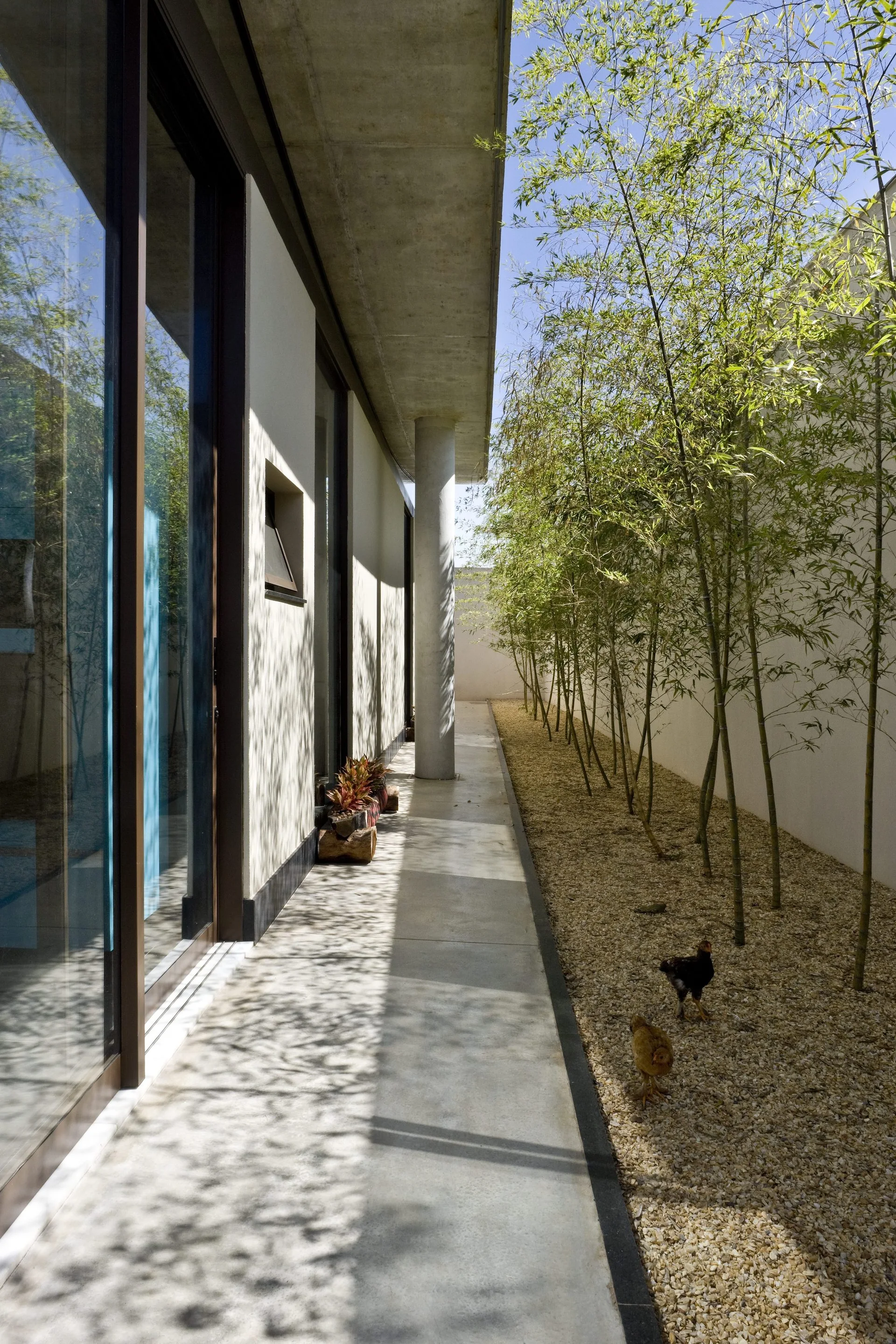 A covered concrete walkway features a raw concrete pillar, sliding glass doors, and a side garden bed of gravel planted with slender bamboo stalks.