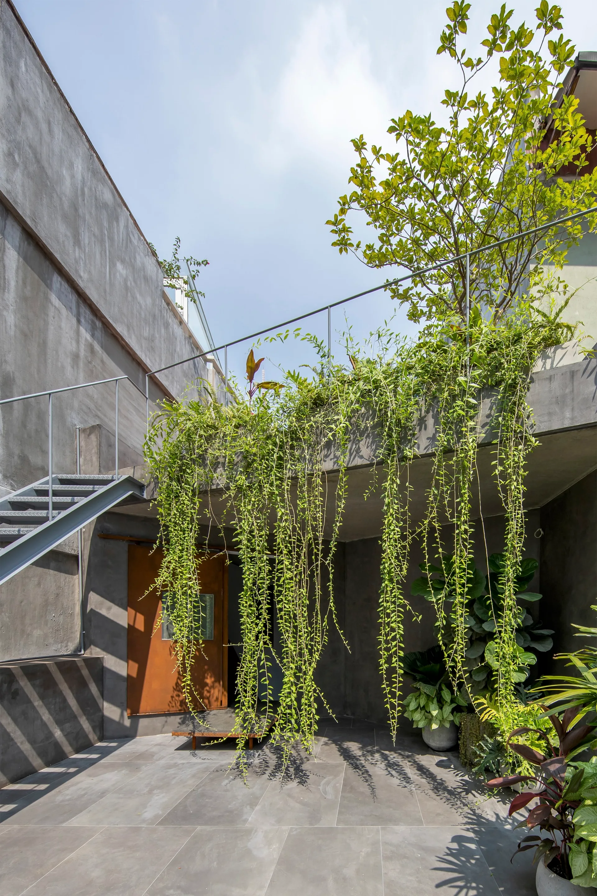 An outdoor concrete patio features a metal staircase, a rusted metal door, and long green vines cascading from an upper terrace.