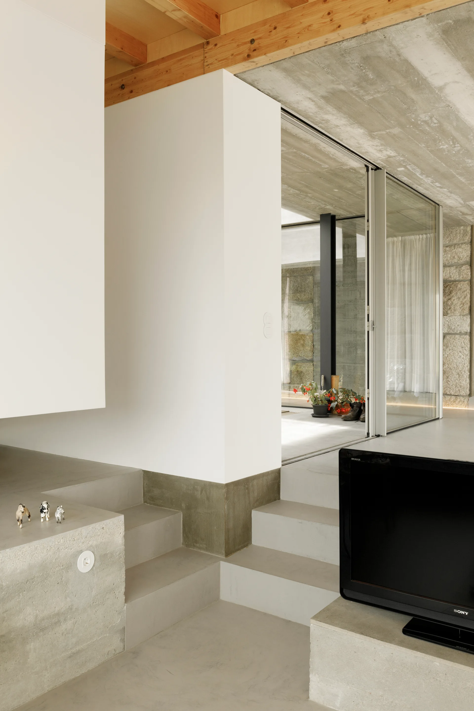 A minimalist home interior features multi-level concrete stairs, smooth white walls, and an exposed natural timber ceiling.