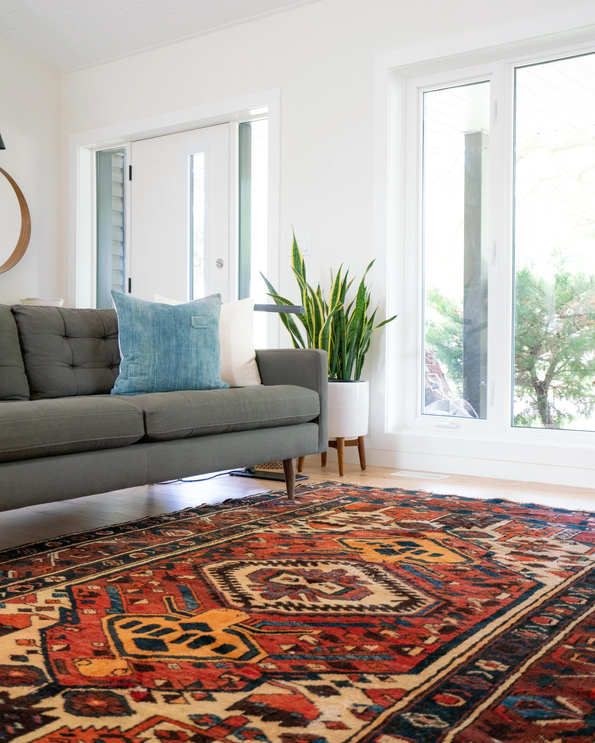 A bright living room features a dark grey tufted sofa with a blue pillow, placed on a colorful patterned area rug next to a potted snake plant.