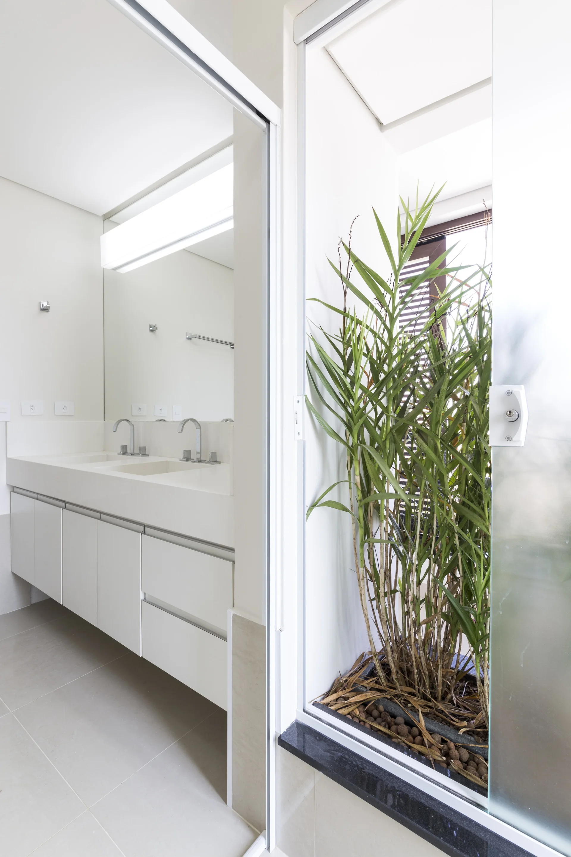 A modern white floating double vanity sits next to a glass-enclosed indoor garden niche filled with tall green plants.