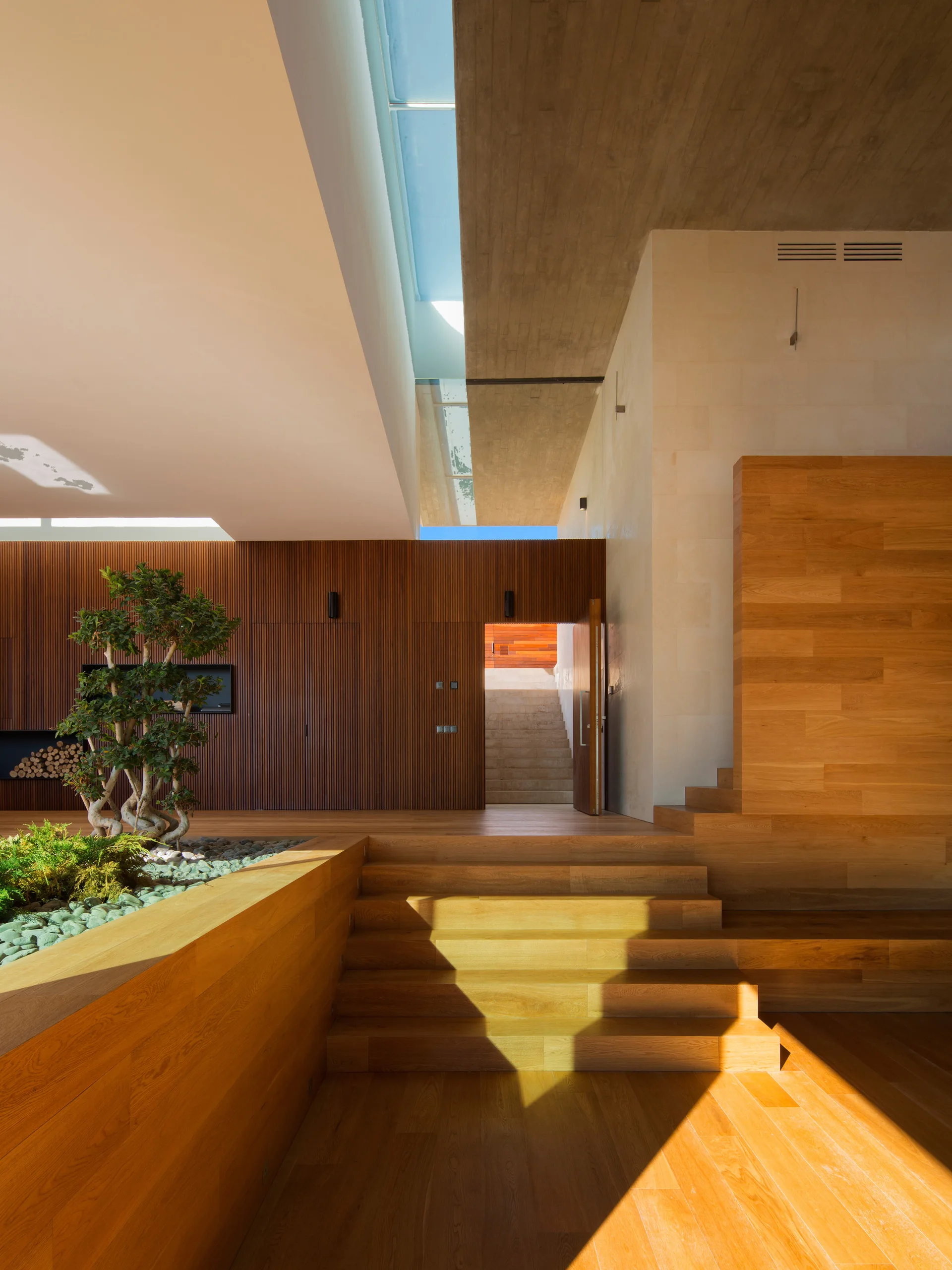 A modern entryway features wide wooden steps, a built-in planter with a small tree, a vertical slatted wall, and a long skylight in a concrete ceiling.