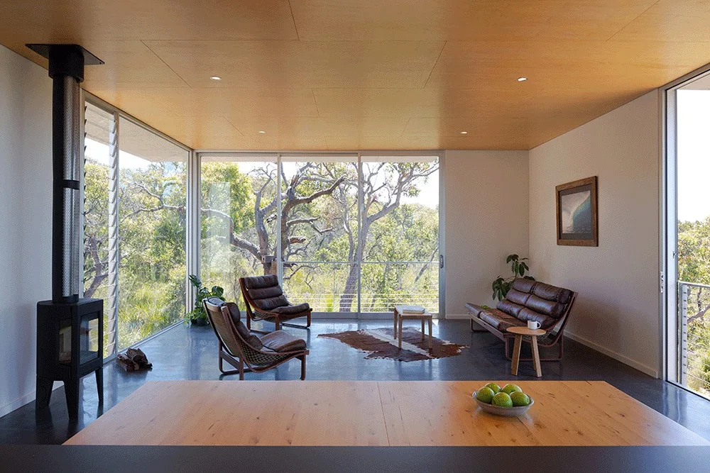 A minimalist living room with brown leather seating, a wood paneled ceiling, and floor-to-ceiling glass windows overlooking a dense forest.