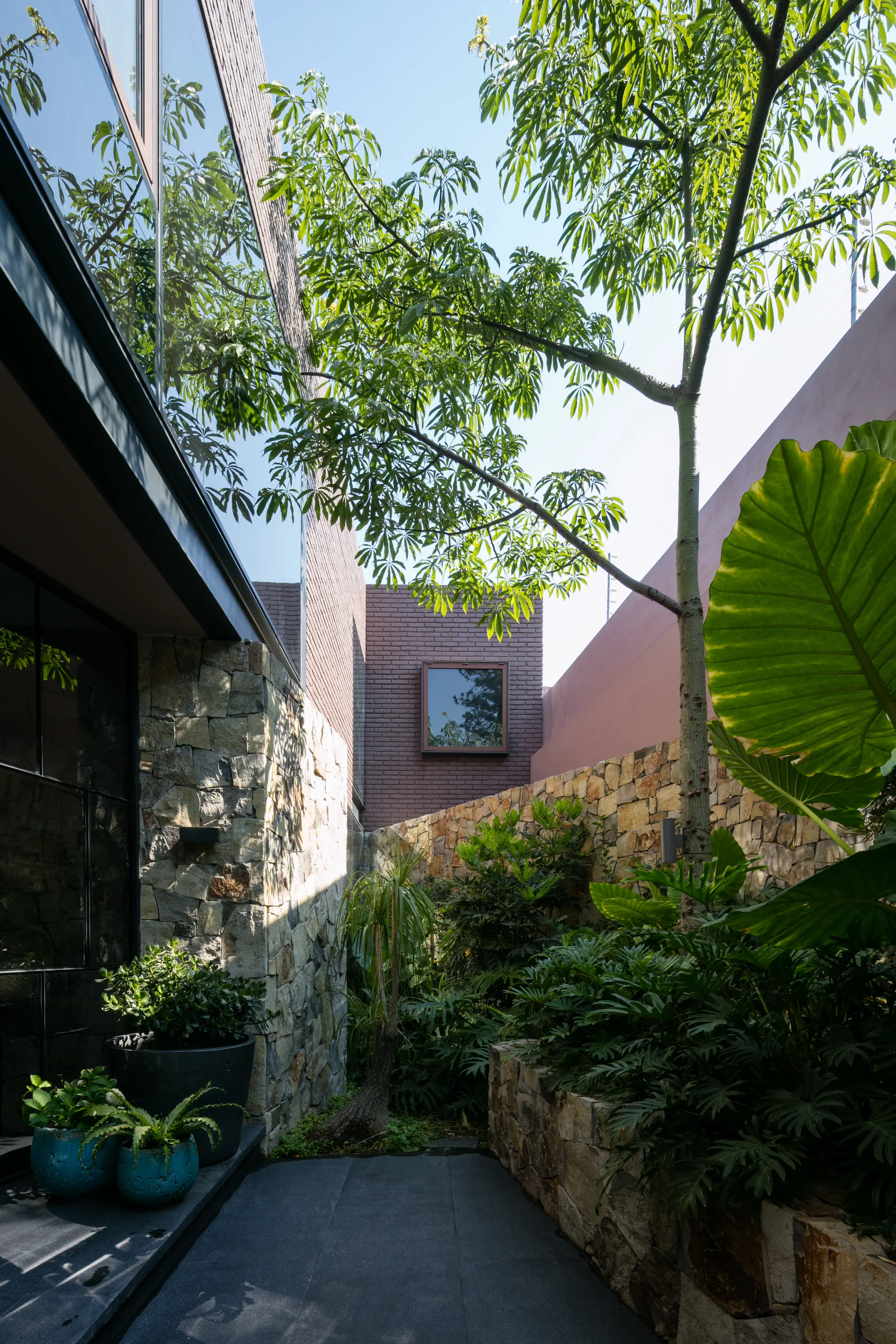 A paved courtyard path runs alongside a curving stacked stone wall and lush green tropical plants, beneath a brick and glass building facade.