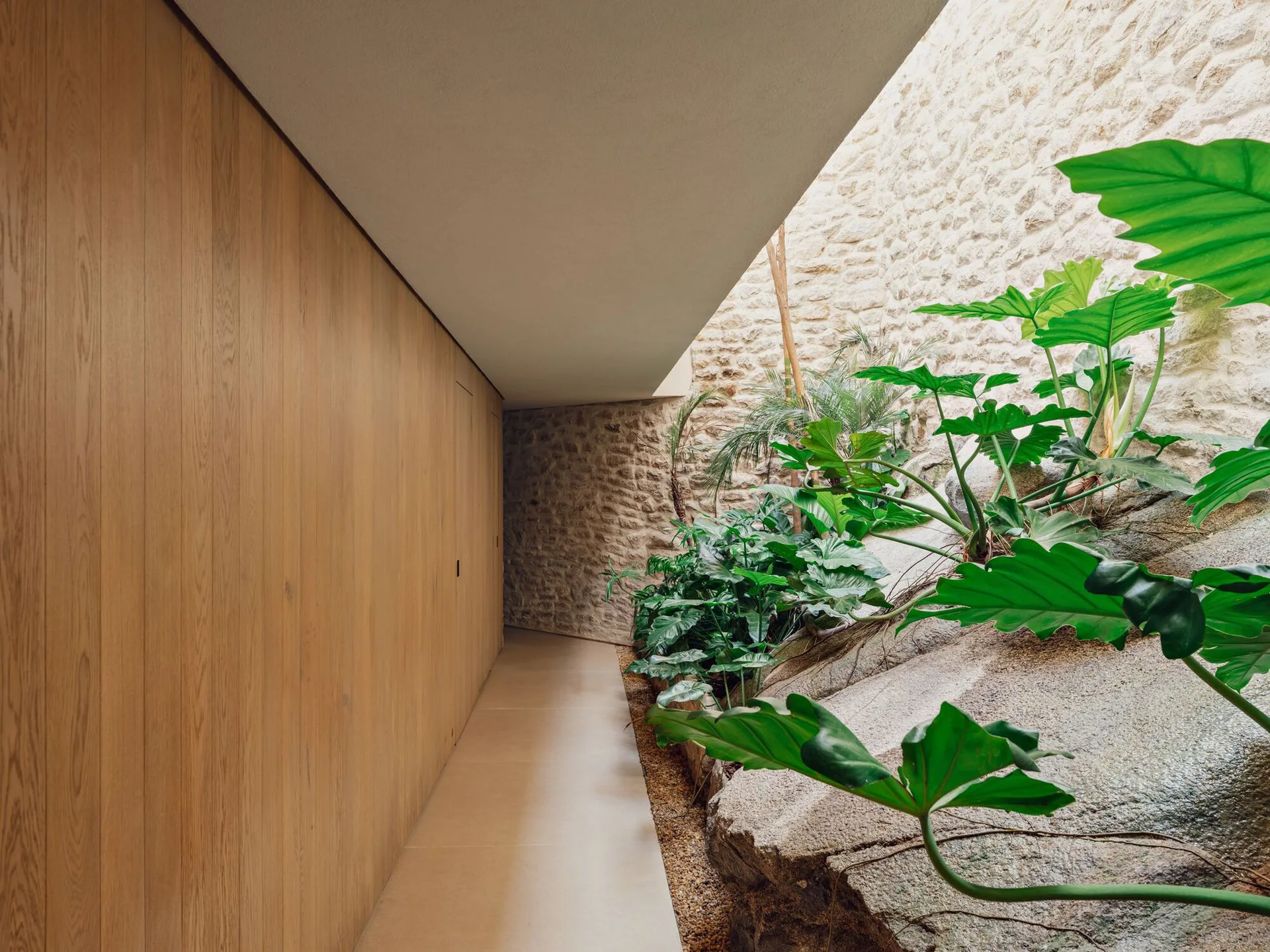 An indoor hallway features vertical wood wall paneling on one side and an integrated indoor garden with large green plants and natural stone walls.