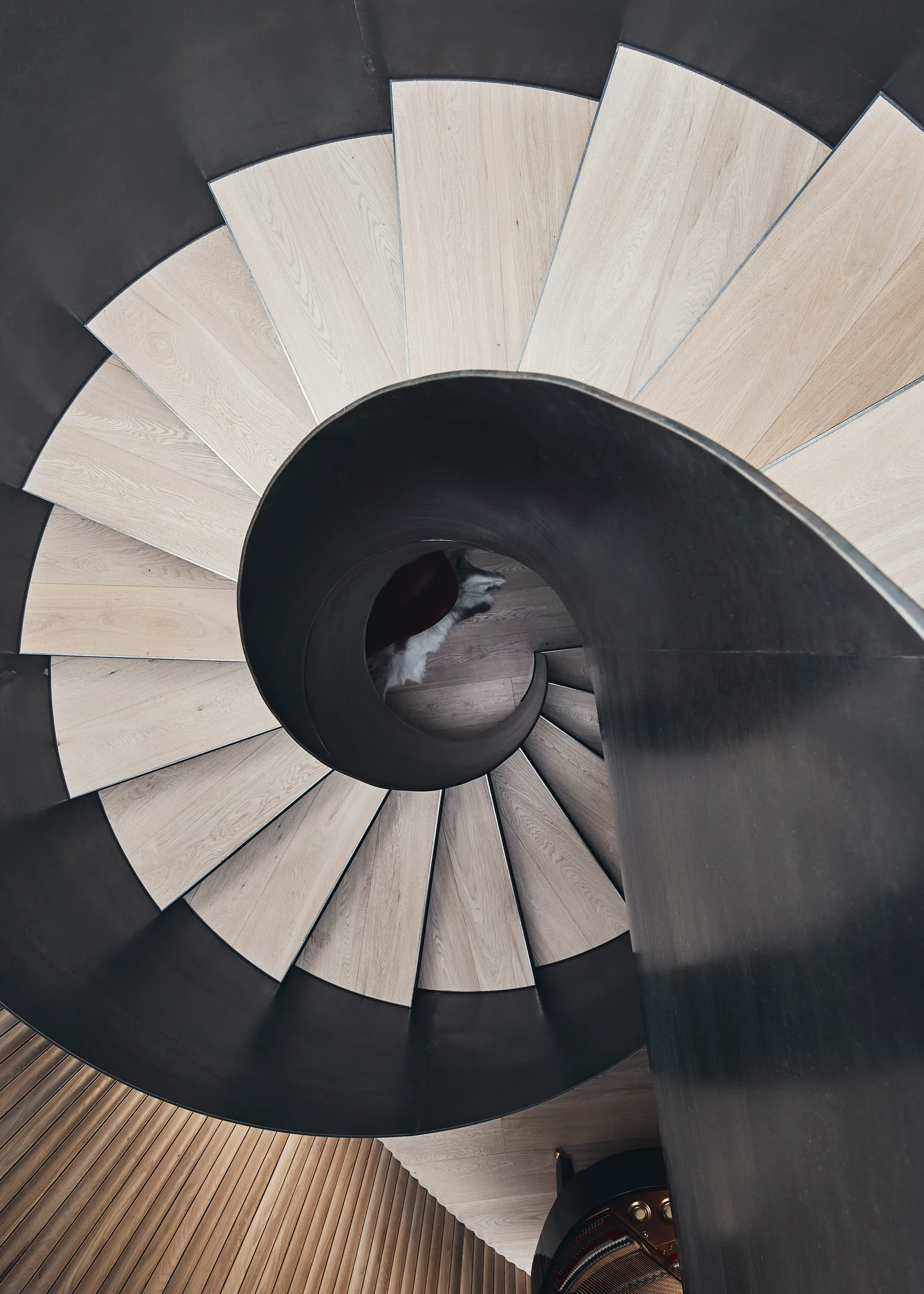 A high-angle top-down view of a modern spiral staircase featuring light wood treads and a curved matte black metal railing.