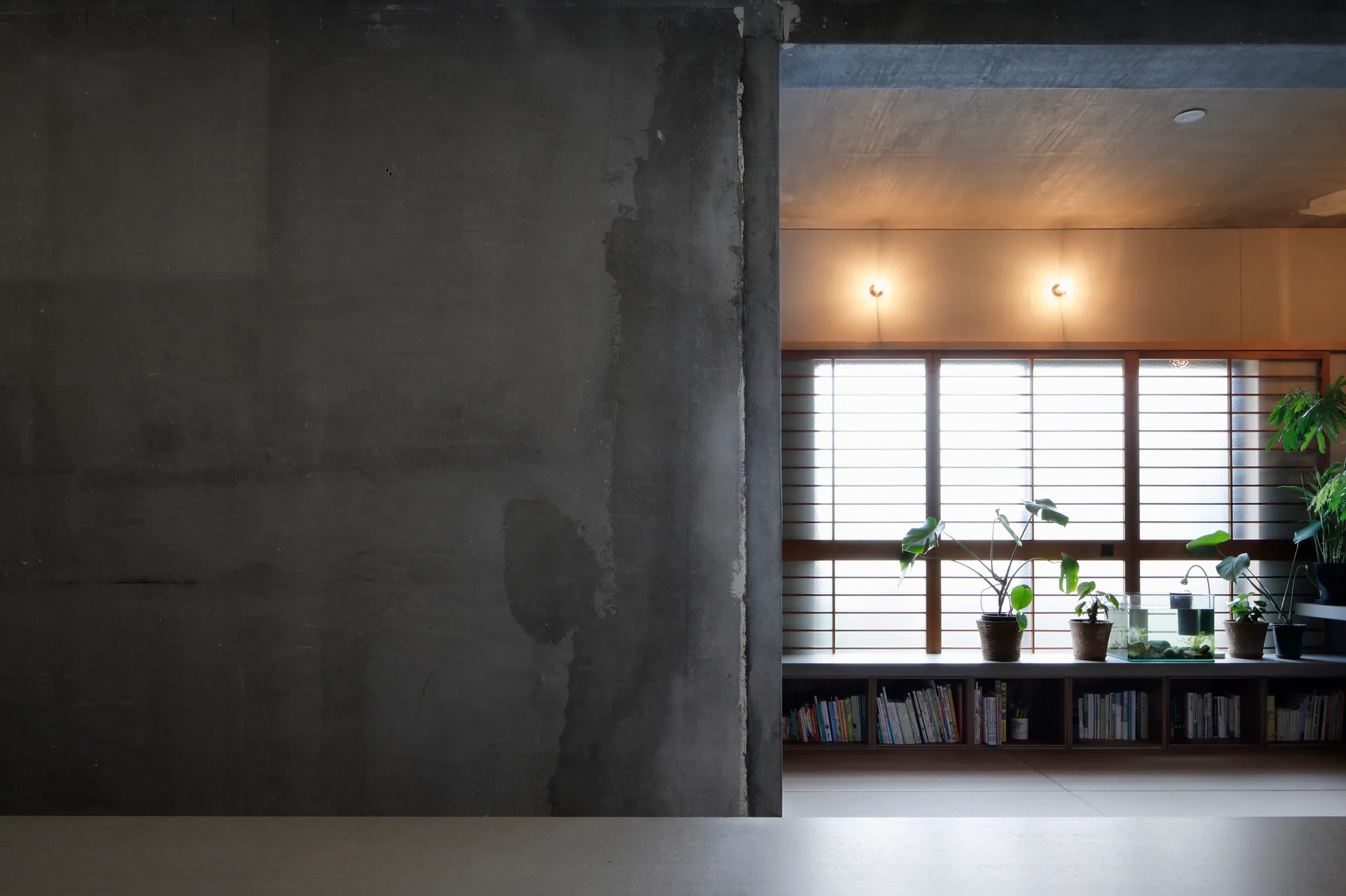 A raw concrete wall stands in the foreground, framing a bright room with a low wooden bookshelf, potted plants, and a grid window.