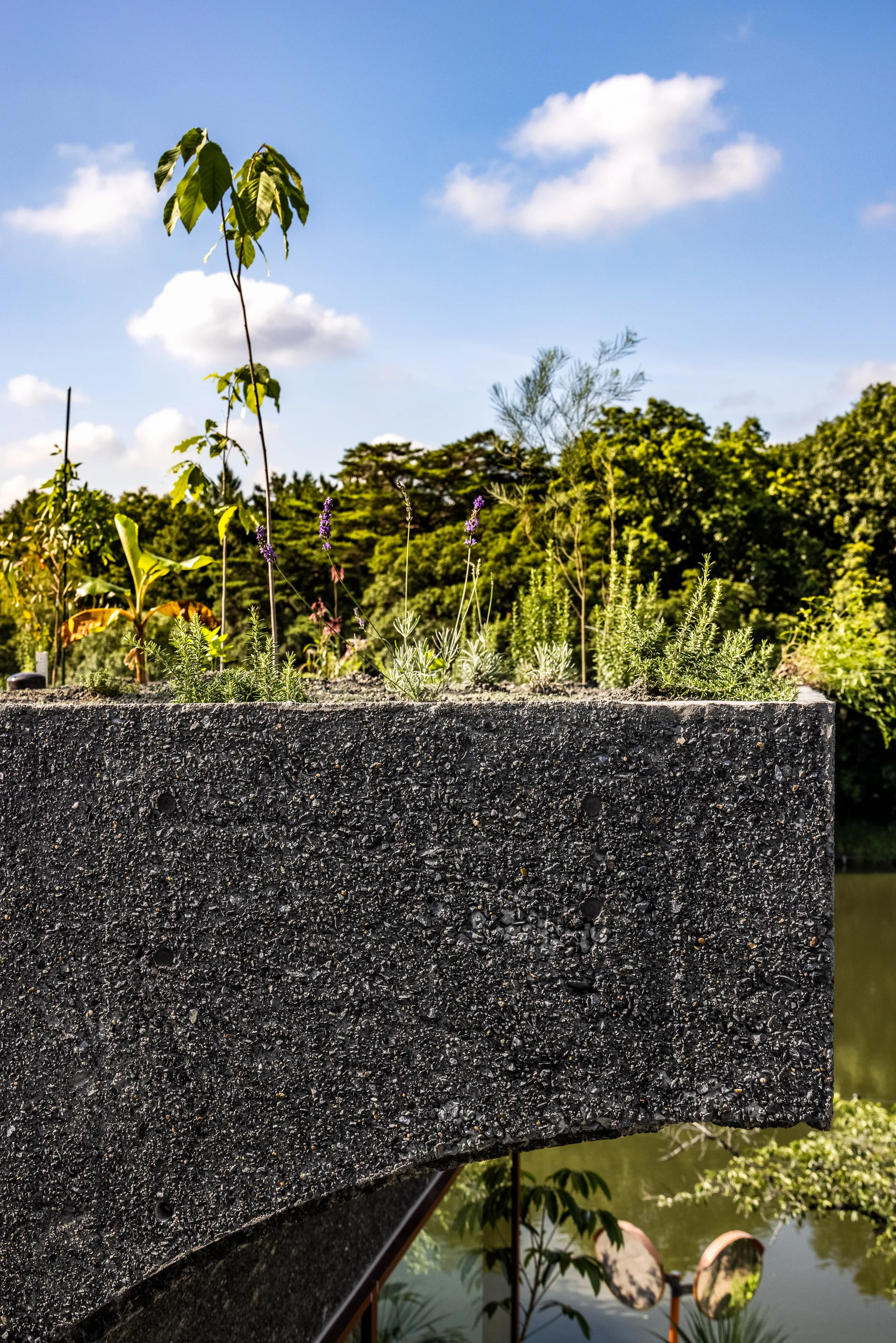 A dark grey textured concrete planter filled with green herbs and small plants is positioned against a background of lush trees and blue sky.
