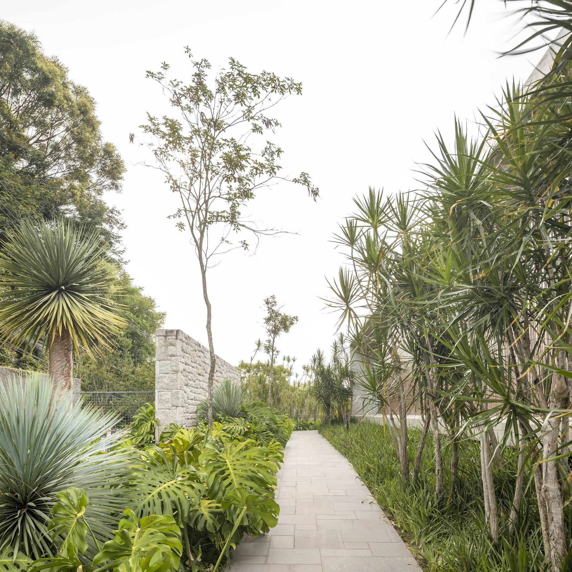 A stone paved walkway runs through a lush tropical garden with green monstera leaves and a grey stacked stone wall.