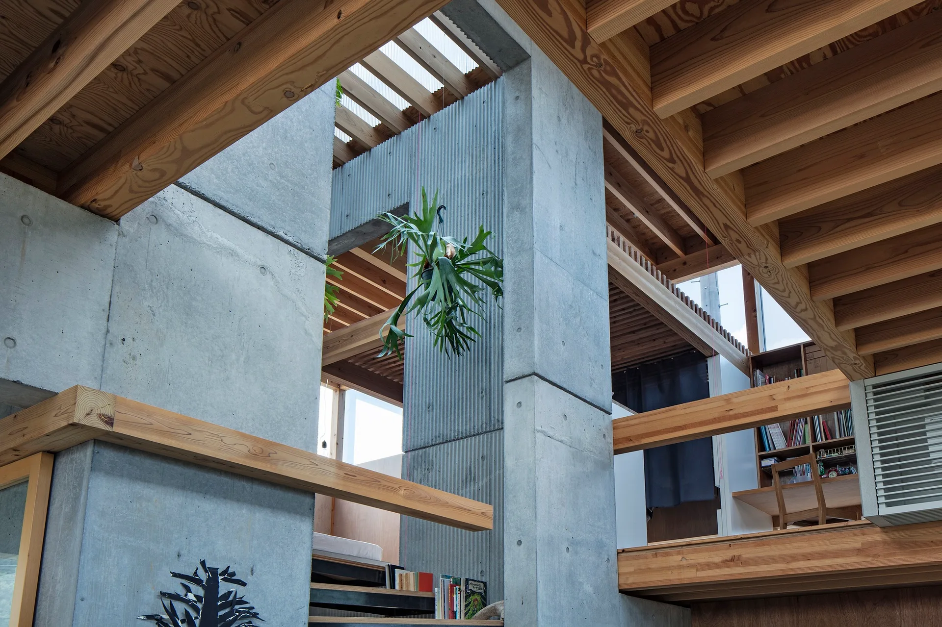 An architectural interior showing exposed grey concrete columns and corrugated walls contrasting with warm timber ceiling beams and a hanging plant.