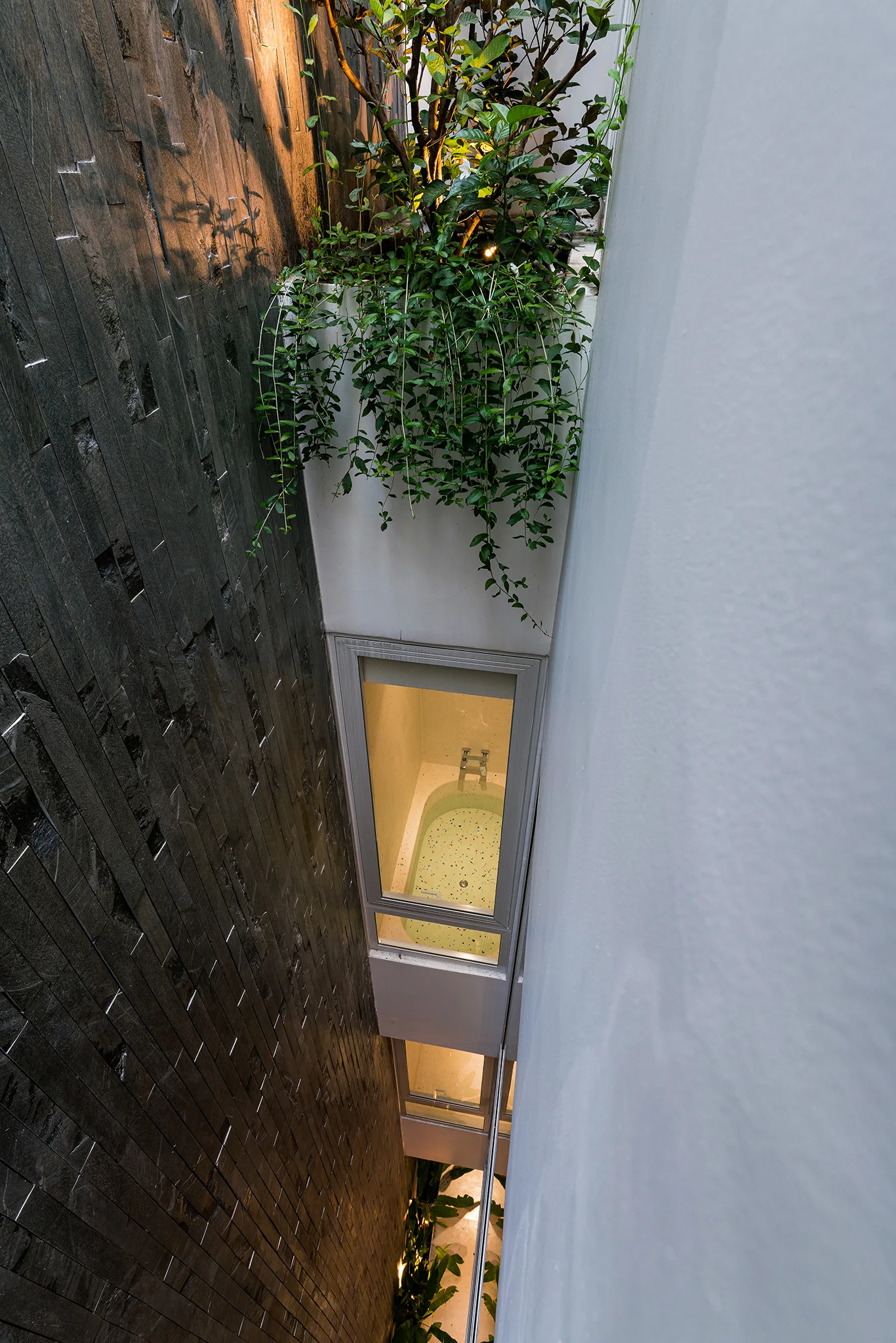 A high-angle view looking down a narrow light well featuring a textured dark stone wall, green planter, and an interior window showing a bathtub.