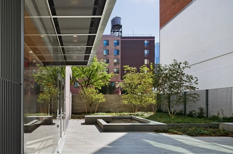 A modern outdoor urban courtyard with large grey stone pavers, built-in concrete bench seating, and young trees planted in a raised bed.