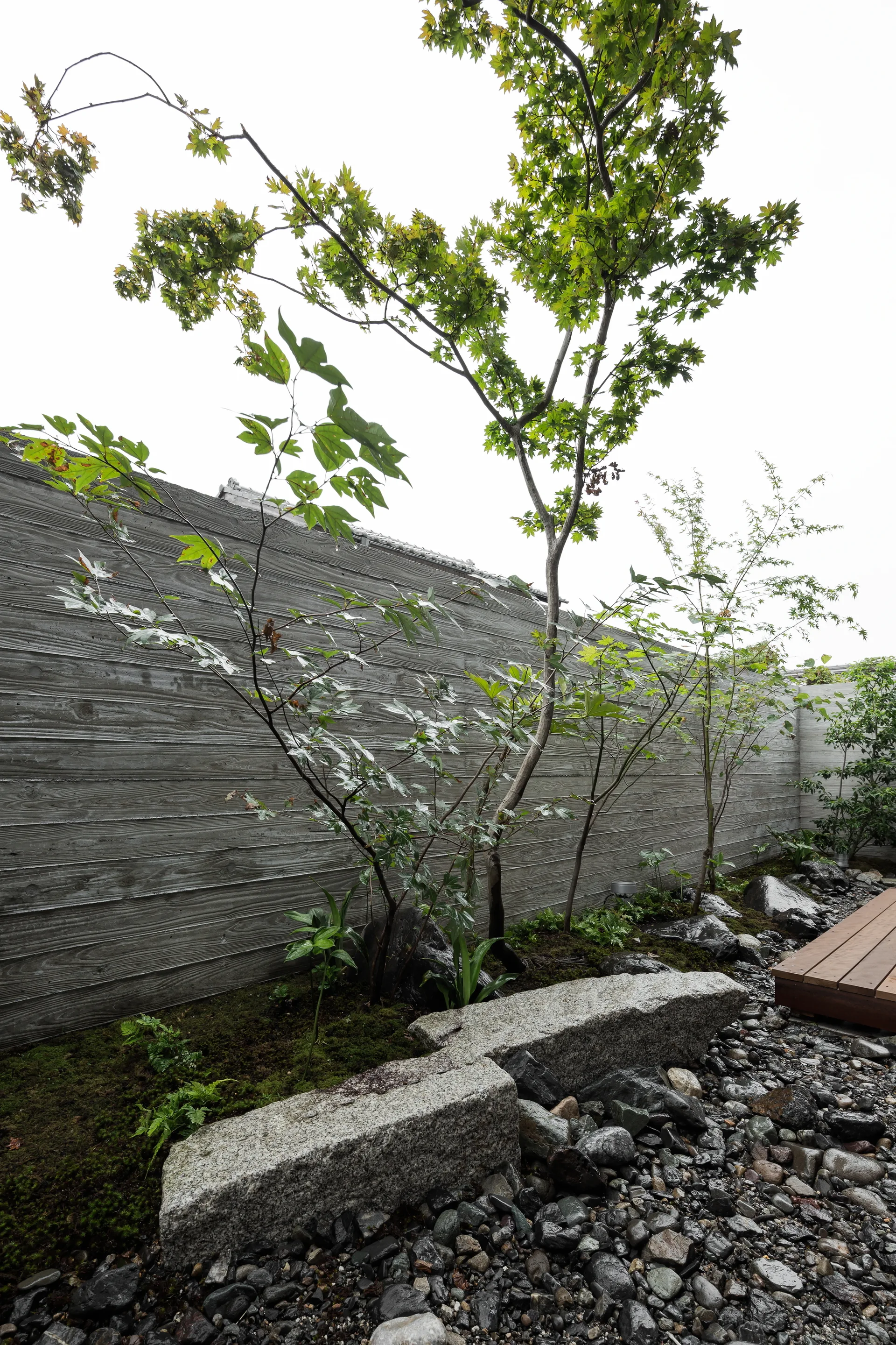 A minimalist Japanese garden features a textured concrete wall, slender trees, green moss, and rough-cut stone blocks over dark river pebbles.
