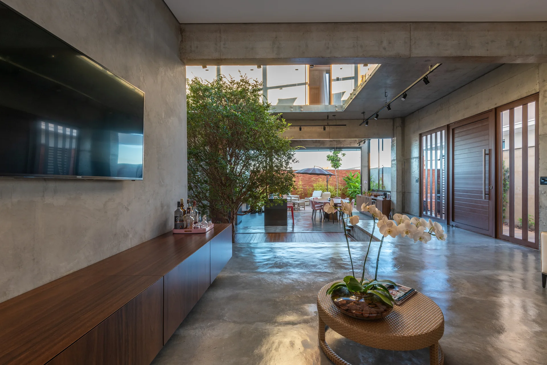 An industrial living room features polished concrete floors, a wall-mounted TV over a wood console, and a large indoor tree near an open patio.