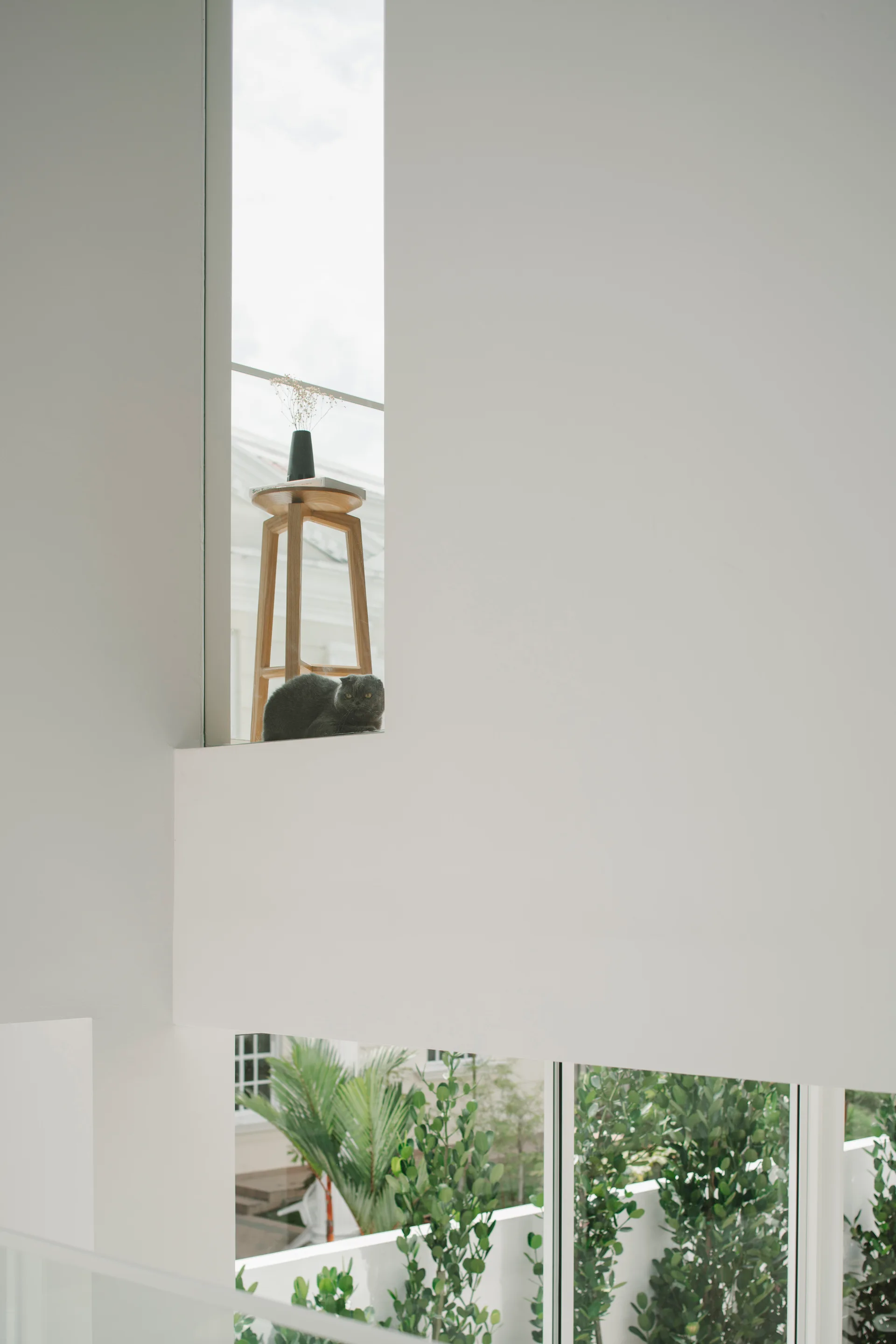 A grey cat rests on a white interior architectural ledge next to a tall wooden stool in front of a narrow vertical window.