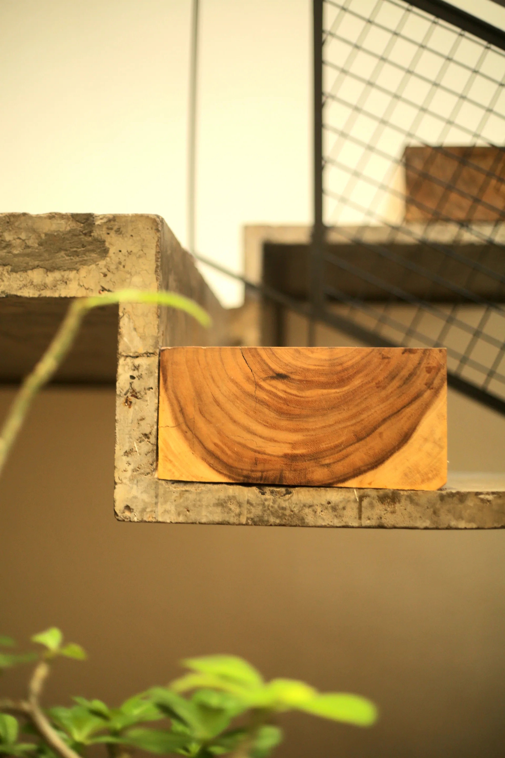 A House of Small Talks, WARP architects, Image 15 of 32
