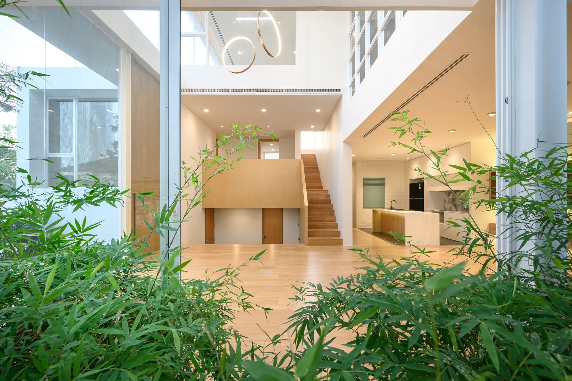 A modern double-height interior featuring light wood flooring, a central wooden staircase, glass walls, and leafy bamboo plants in the foreground.