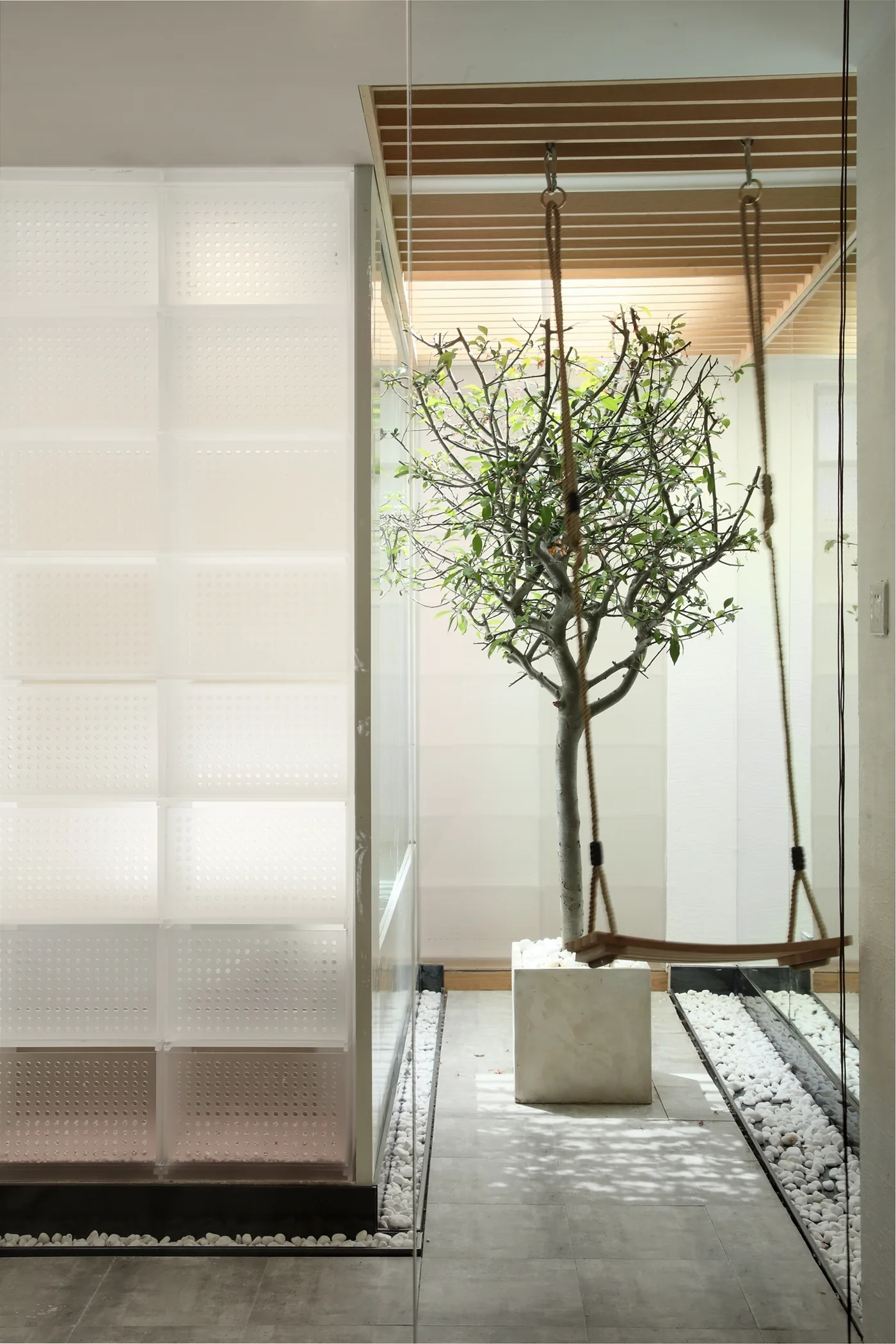 A modern indoor courtyard featuring a rope swing hanging from a slatted wood ceiling next to an indoor tree.