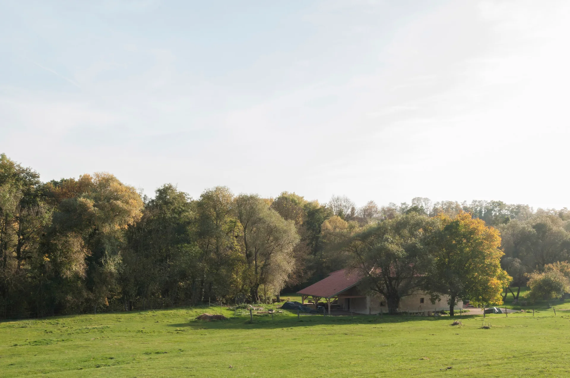 A wide green meadow stretches toward a dense treeline where a small rustic building with a red tiled roof stands under a pale blue sky.
