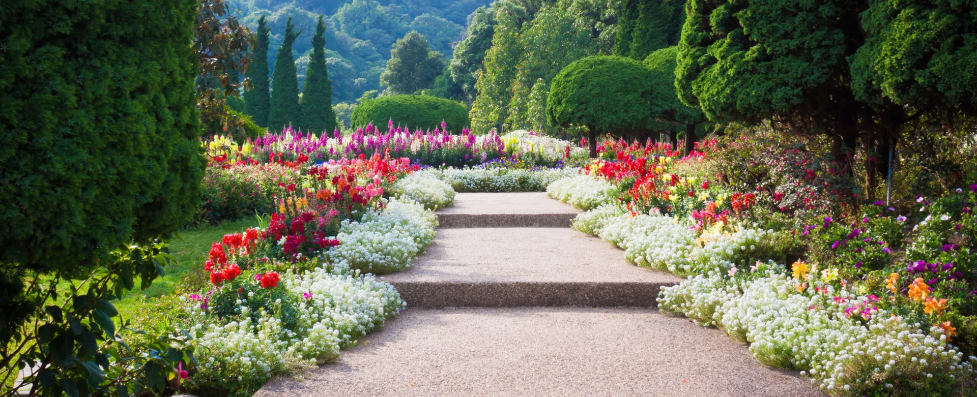 A wide gravel garden path with shallow steps is bordered by lush beds of white, red, and pink flowers leading toward green trees.