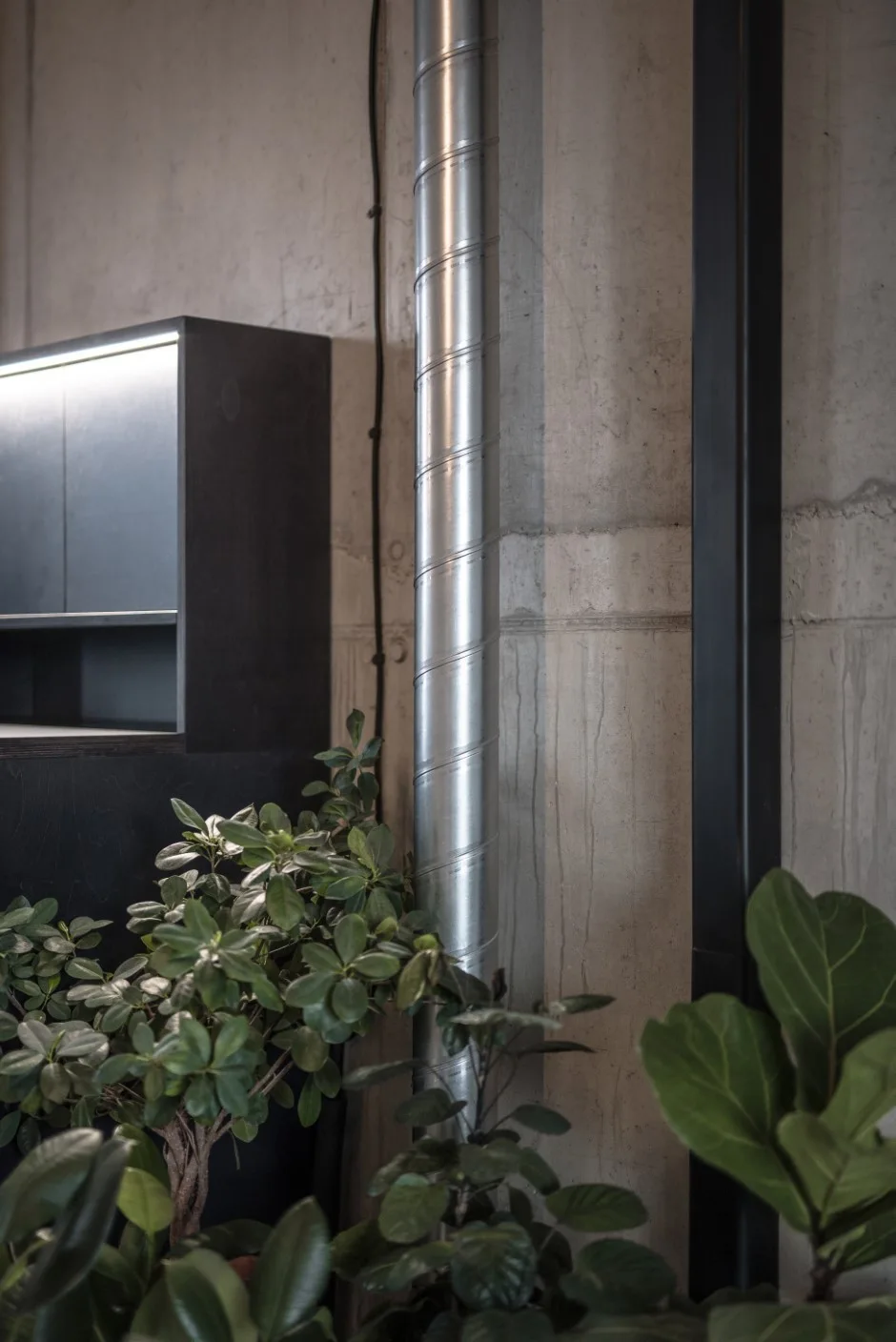 A vertical silver metal duct runs down a textured raw concrete wall next to a matte black cabinet and green leafy potted plants.
