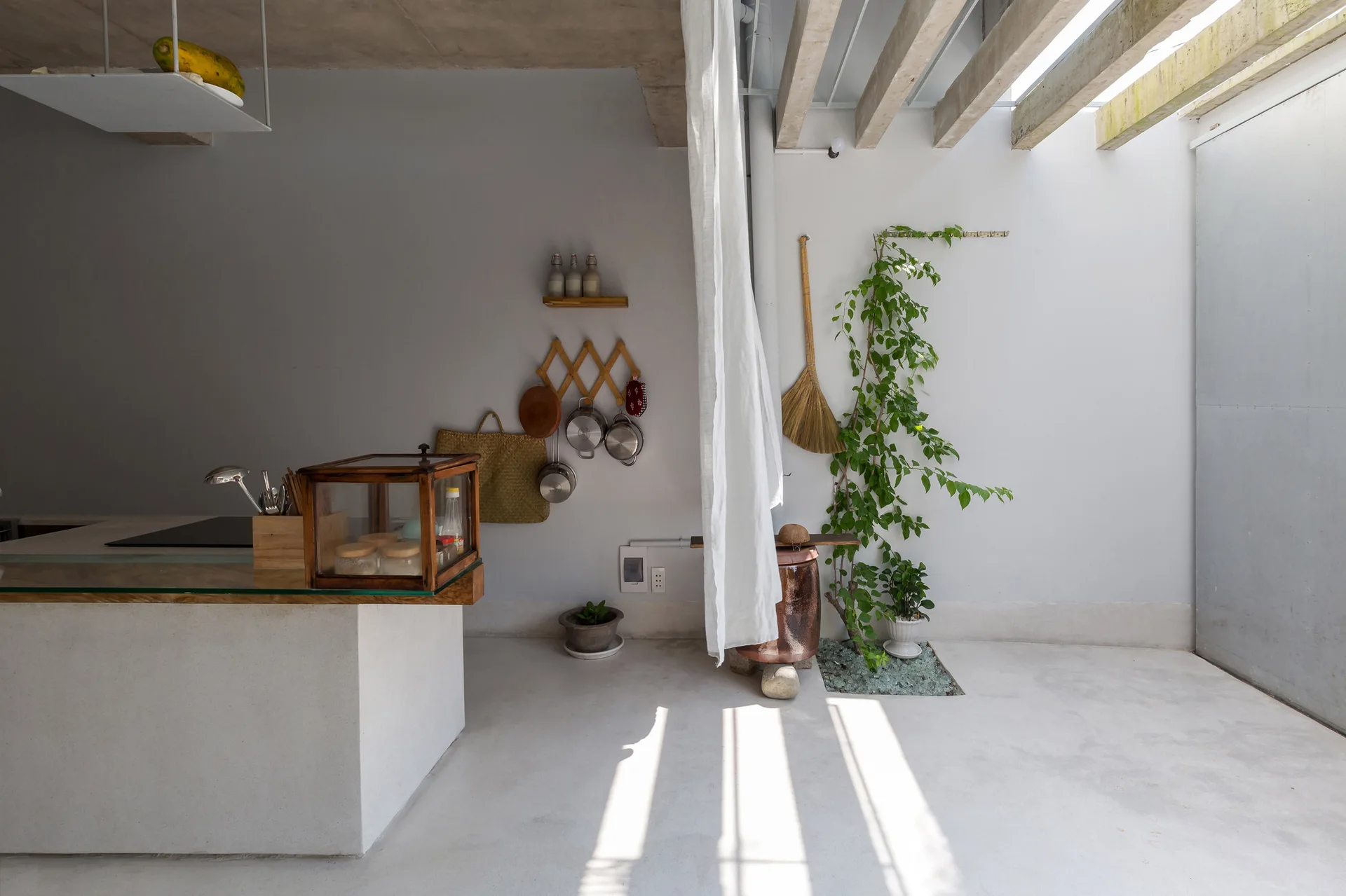 A minimalist concrete kitchen featuring a white island, hanging cookware on the wall, and a green climbing plant growing from a floor cutout.
