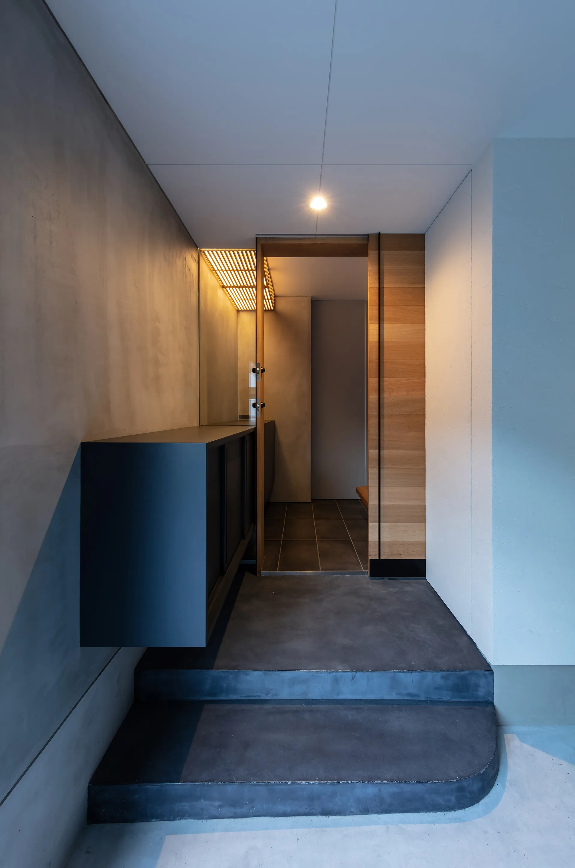 A minimalist entryway features smooth concrete steps, a floating black cabinet, and a warm wood-lined doorway.