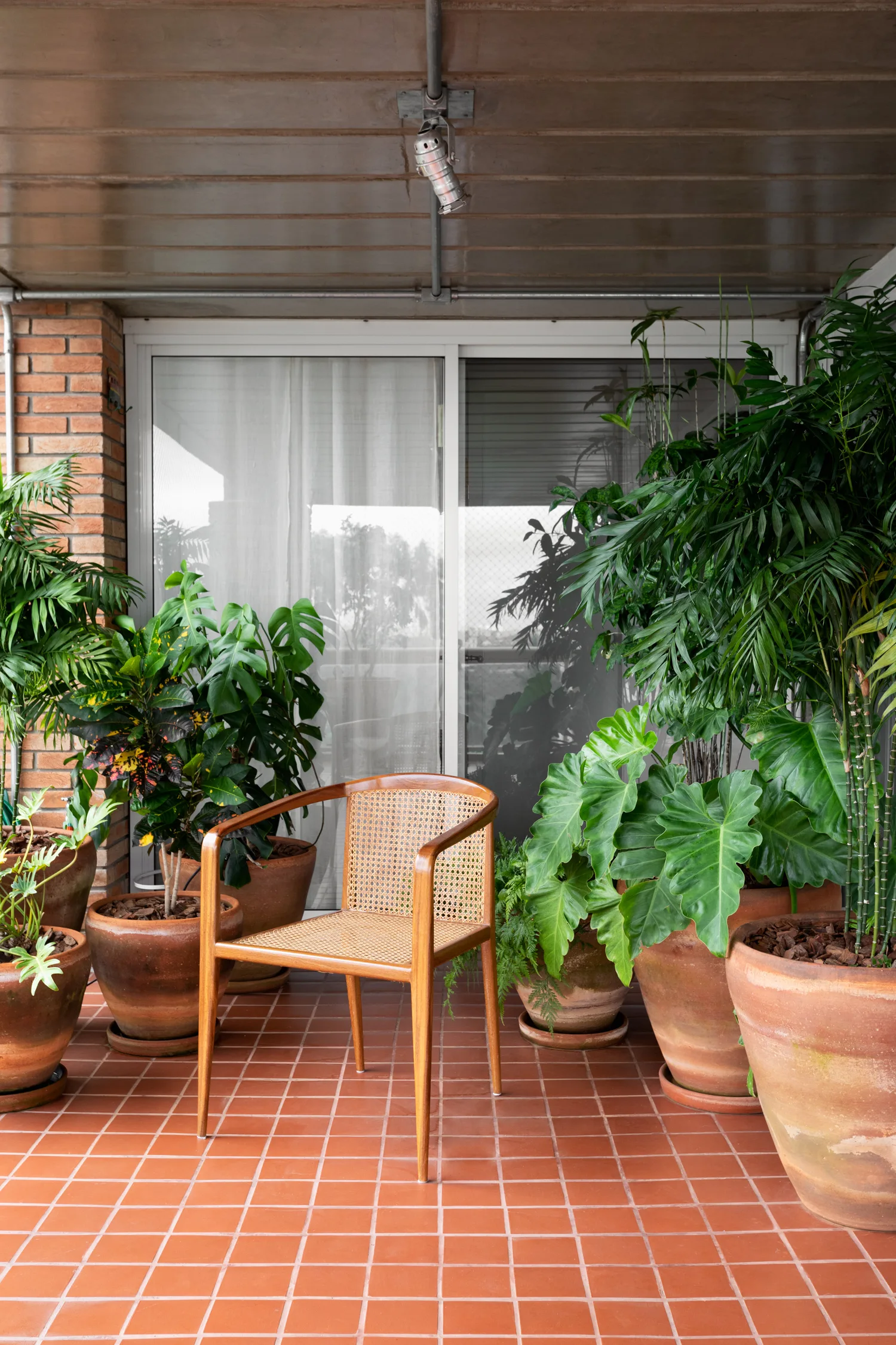 A wooden cane chair sits on a terracotta-tiled balcony surrounded by several large potted green plants in front of a sliding glass door.
