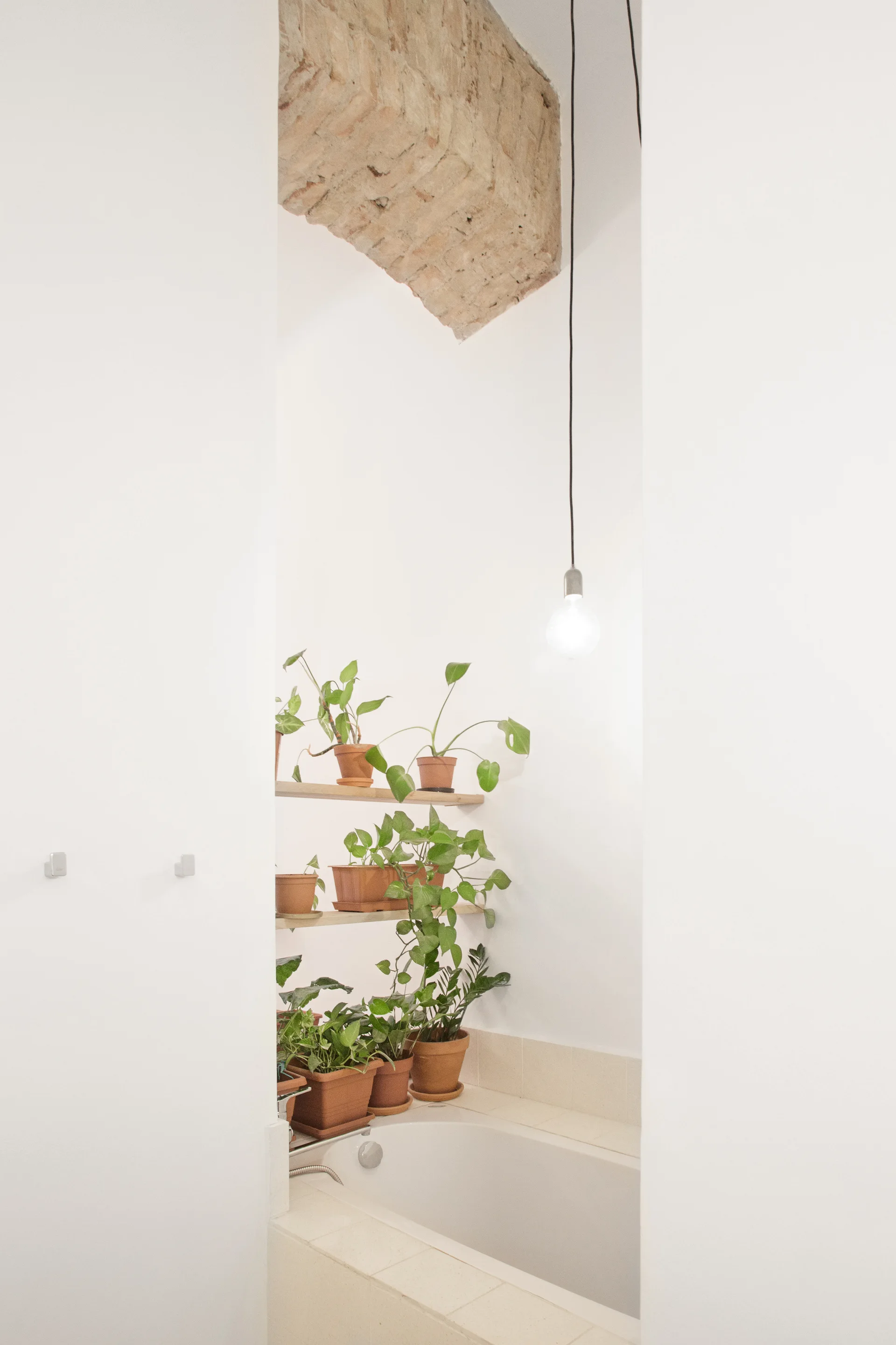 A white tiled bathtub sits in a narrow alcove beneath tiered shelves with green plants in terracotta pots and an exposed brick arched ceiling.