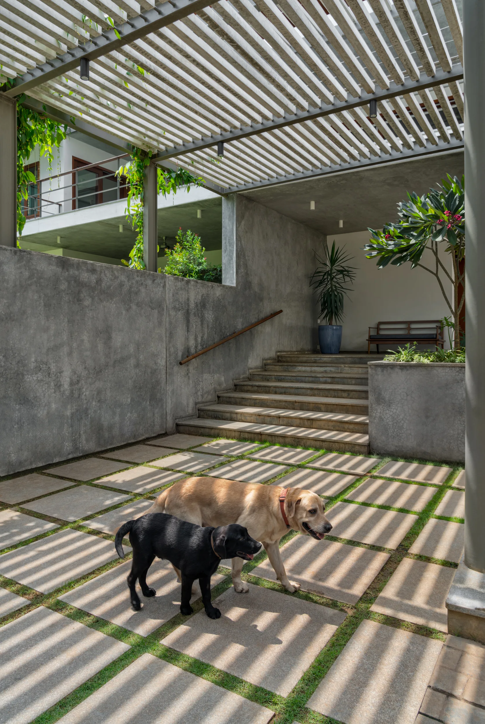 A minimalist concrete patio with large stone pavers separated by grass joints, a concrete staircase, and an overhead slatted pergola casting shadows.