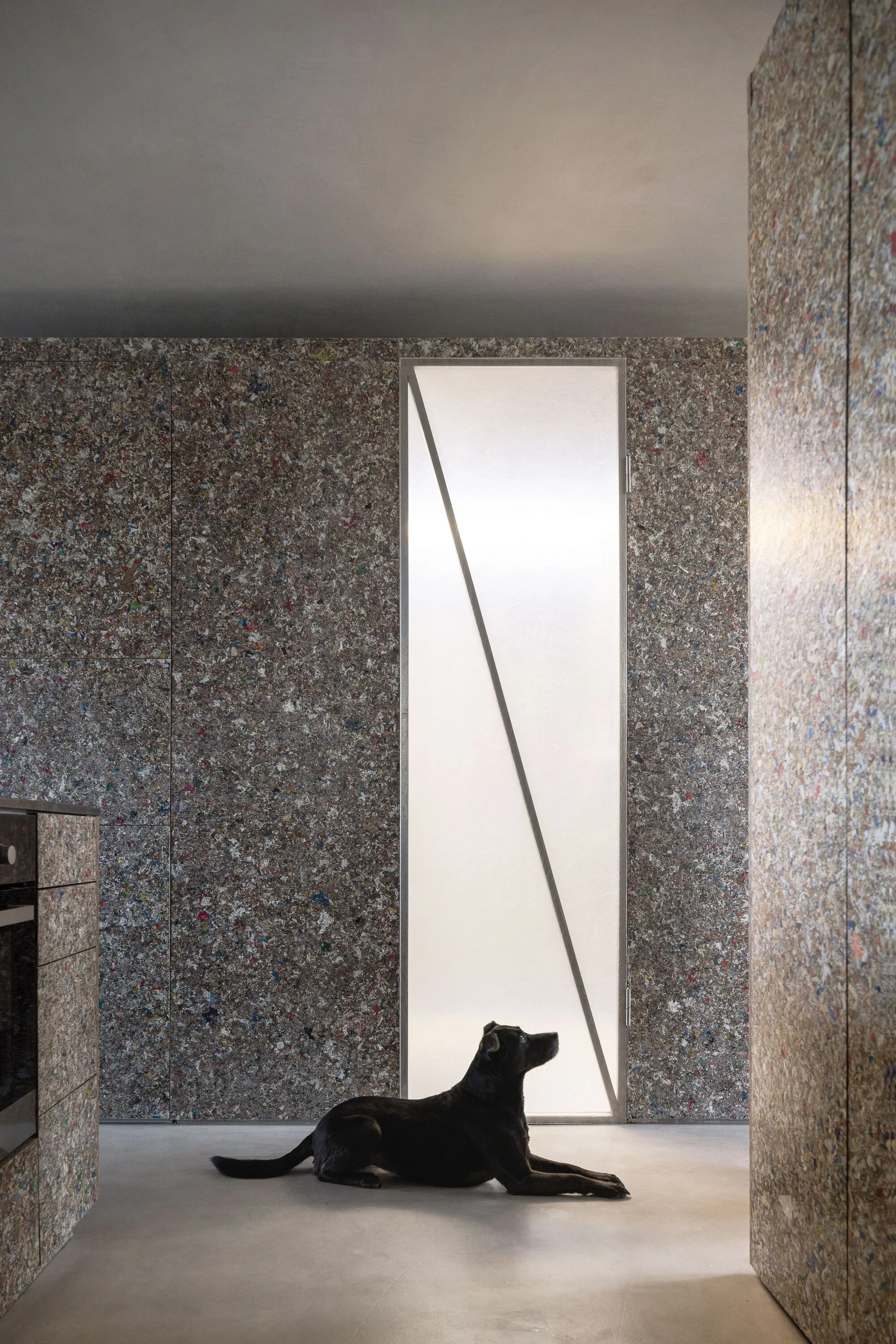 A minimalist kitchen featuring walls and cabinets made of speckled recycled composite material, a central frosted glass door, and a black dog on the floor.