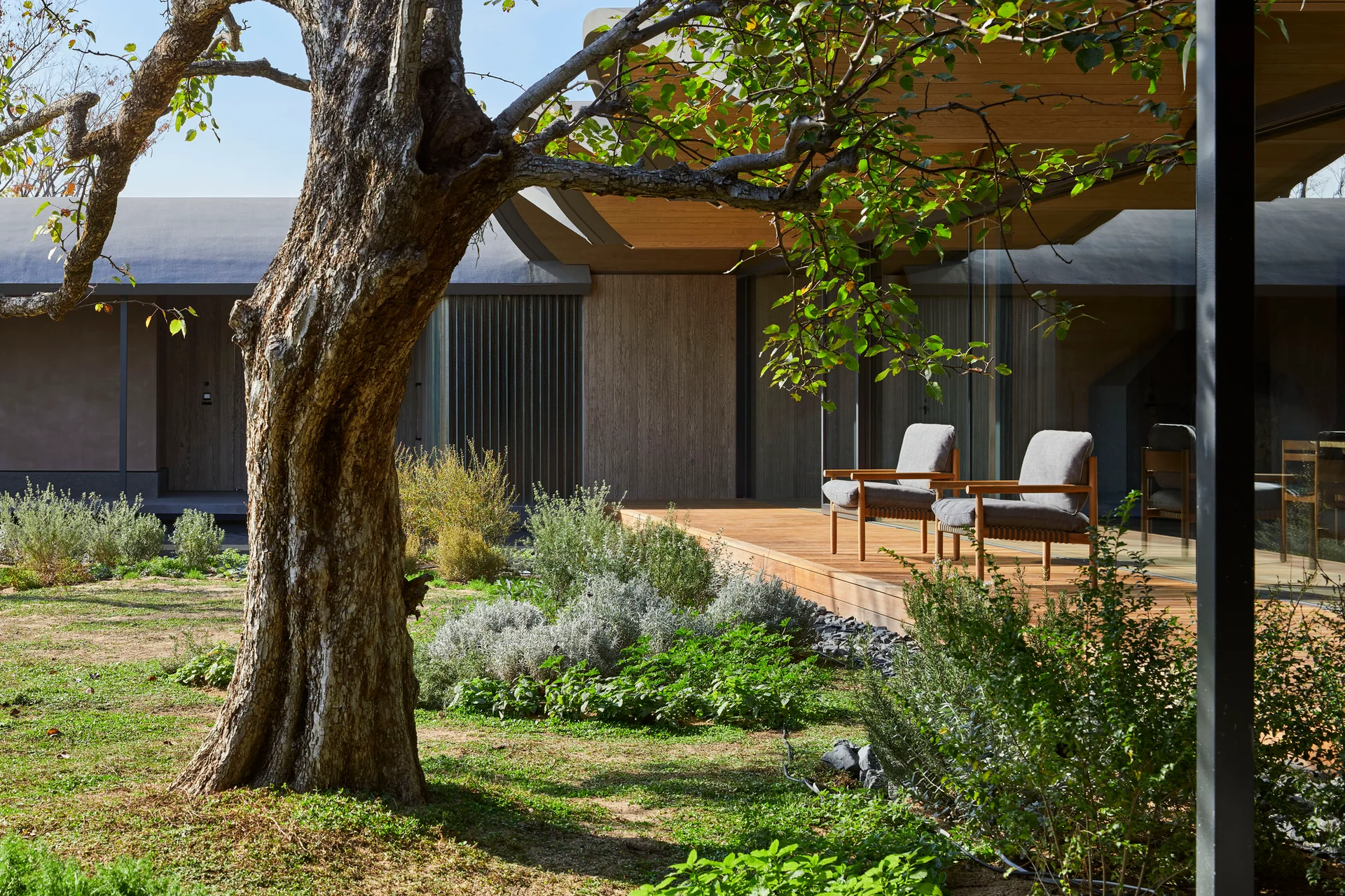 Two gray cushioned armchairs rest on a natural wood deck beneath a deep overhang, facing a lush landscaped garden and a mature tree.