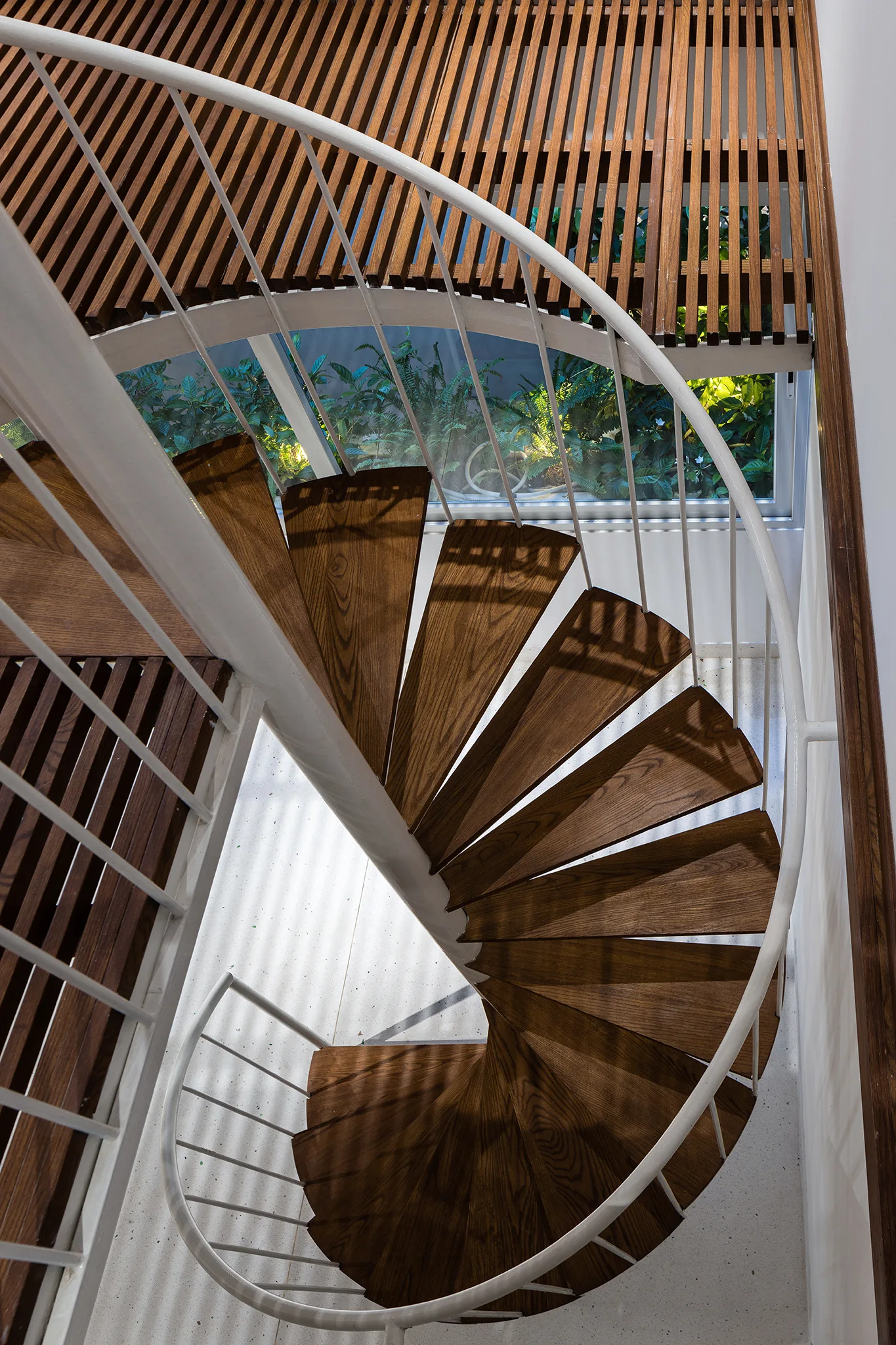 Looking down a spiral staircase with dark wood treads and a white metal railing toward a window showcasing green outdoor foliage.