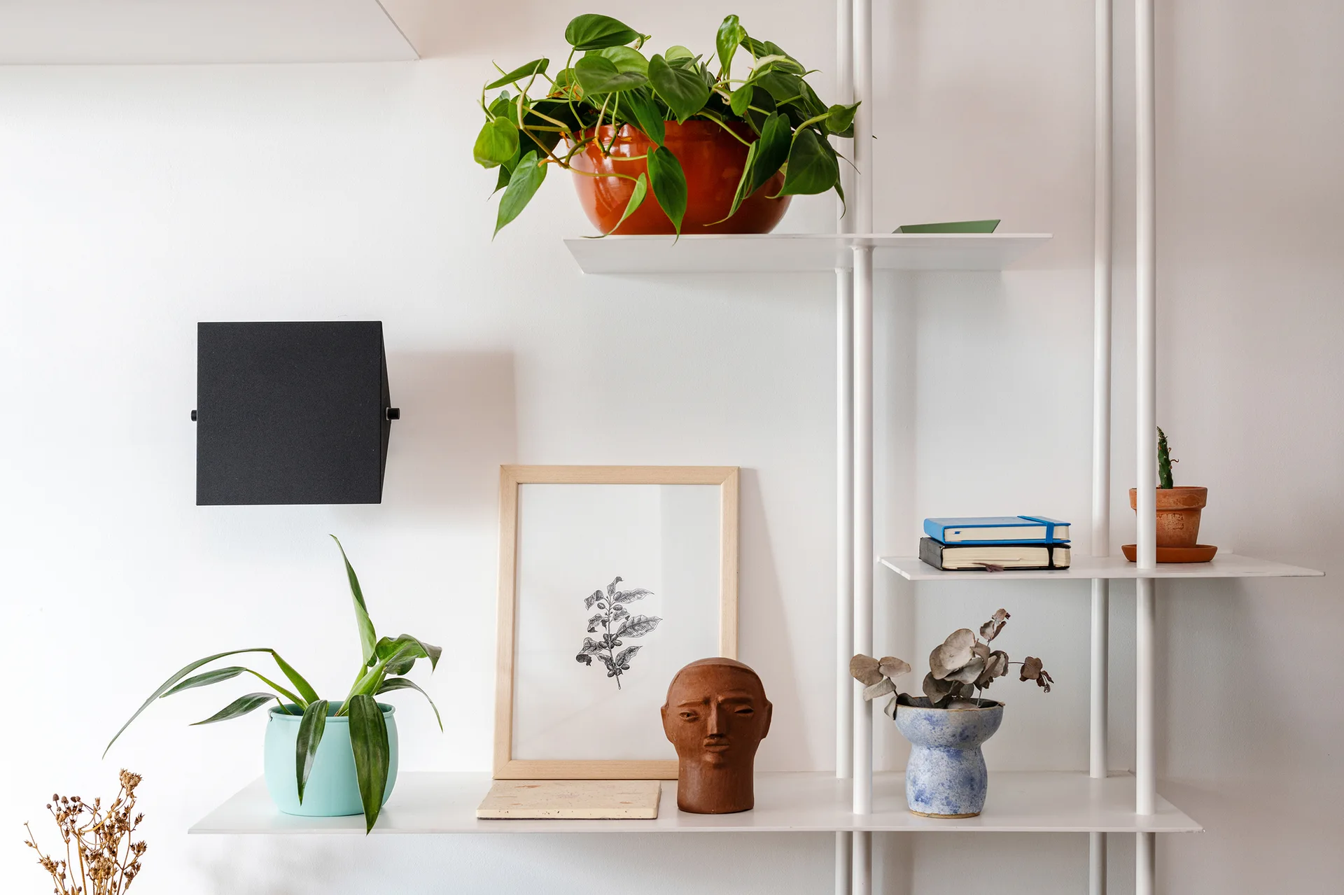A white metal shelving unit mounted on a white wall displays potted green plants, framed botanical art, a small ceramic head sculpture, and books.