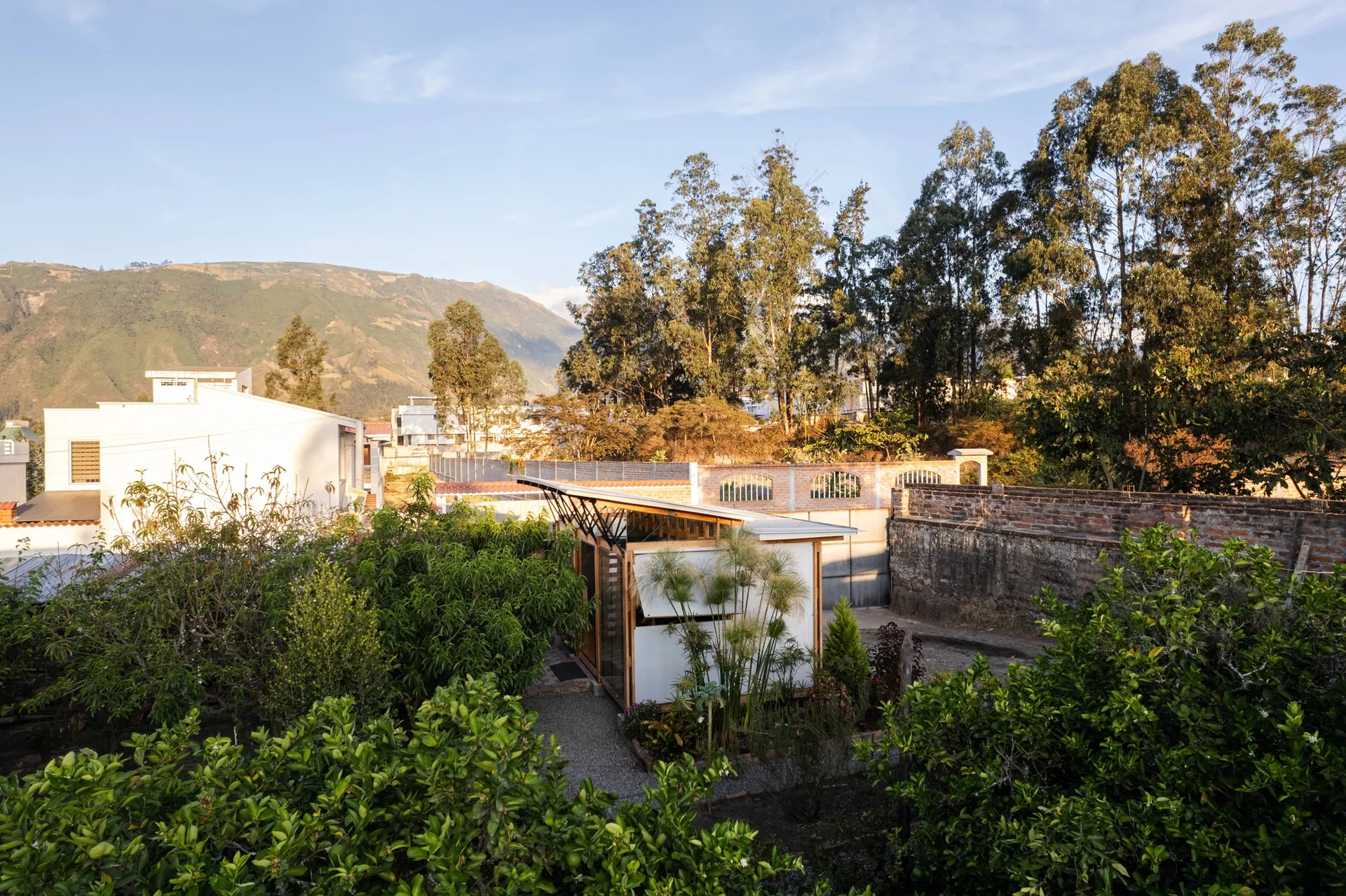 A compact wood-framed garden studio with a sloped roof sits among lush green trees with mountains in the background.
