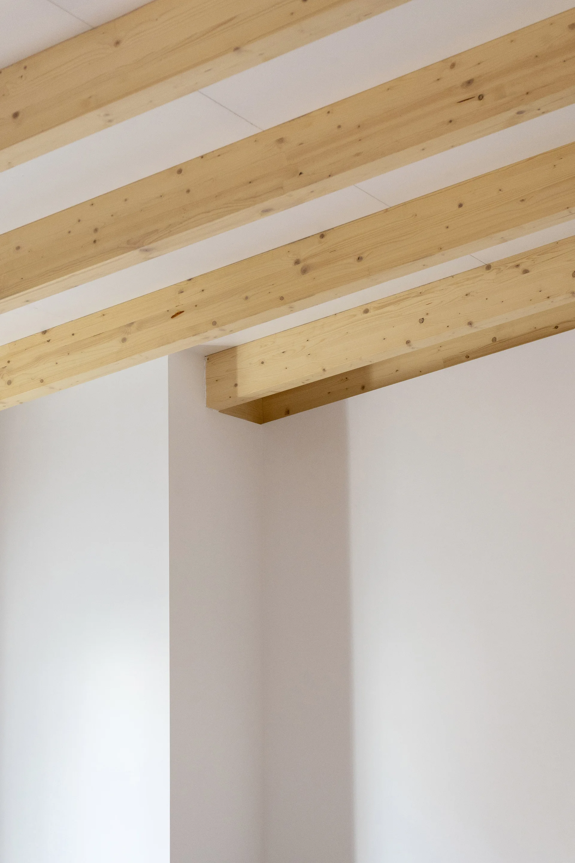 Parallel light-toned wood beams run across a smooth white ceiling, meeting a plain white plaster wall corner in soft natural light.