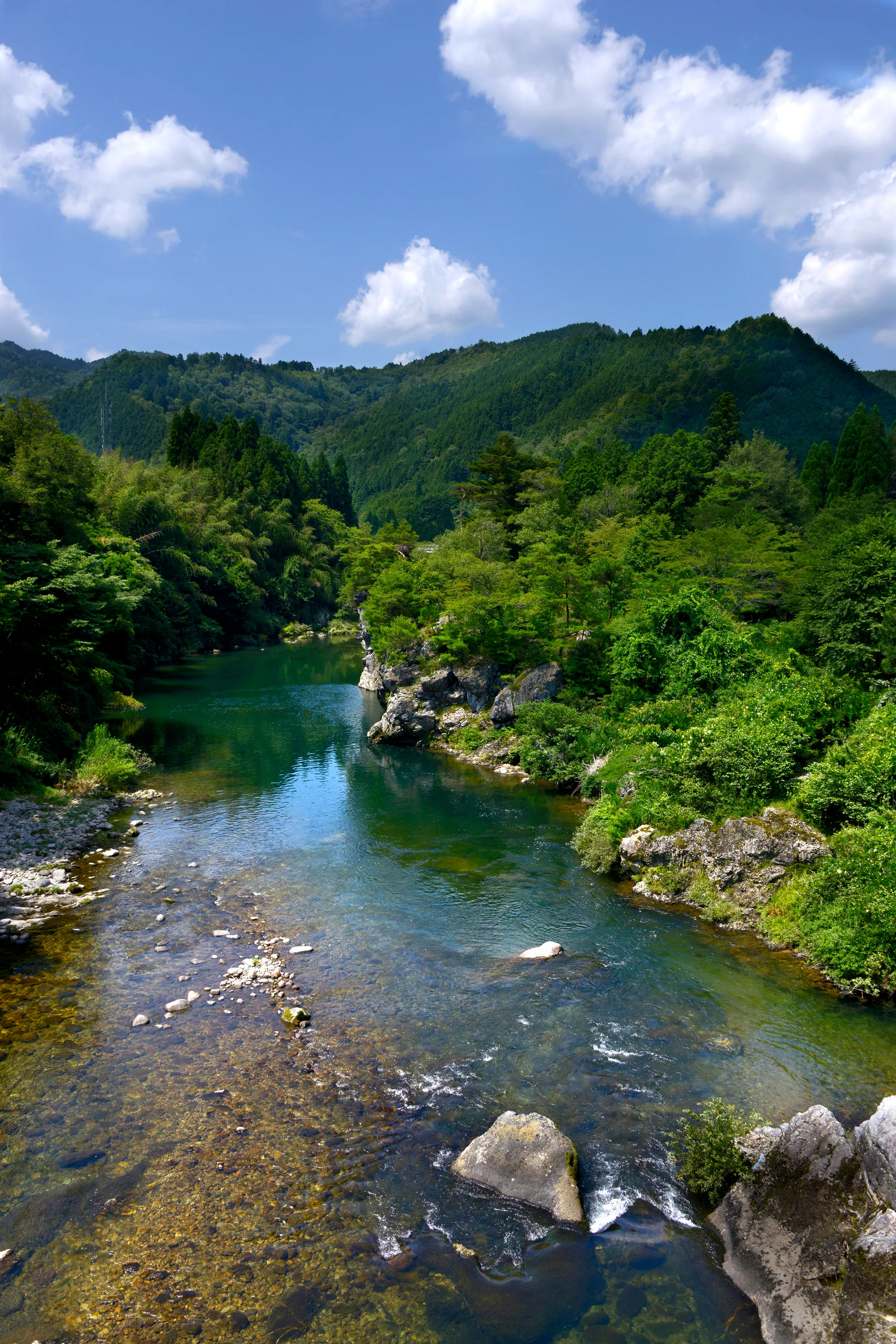 A clear, shallow river flows through a dense green forest toward distant tree-covered mountains under a blue sky with scattered white clouds.
