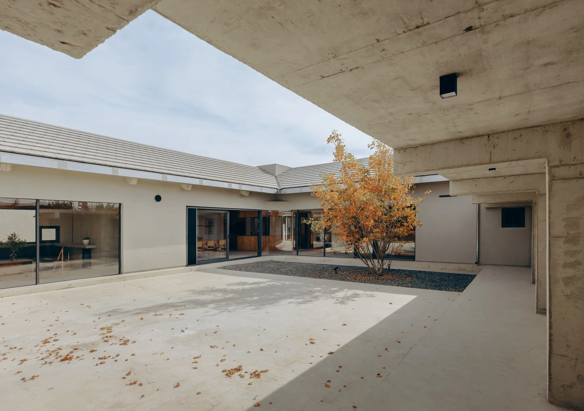 A modernist courtyard features a smooth concrete ground, a central gravel bed with an autumn tree, and a raw concrete overhead structure.