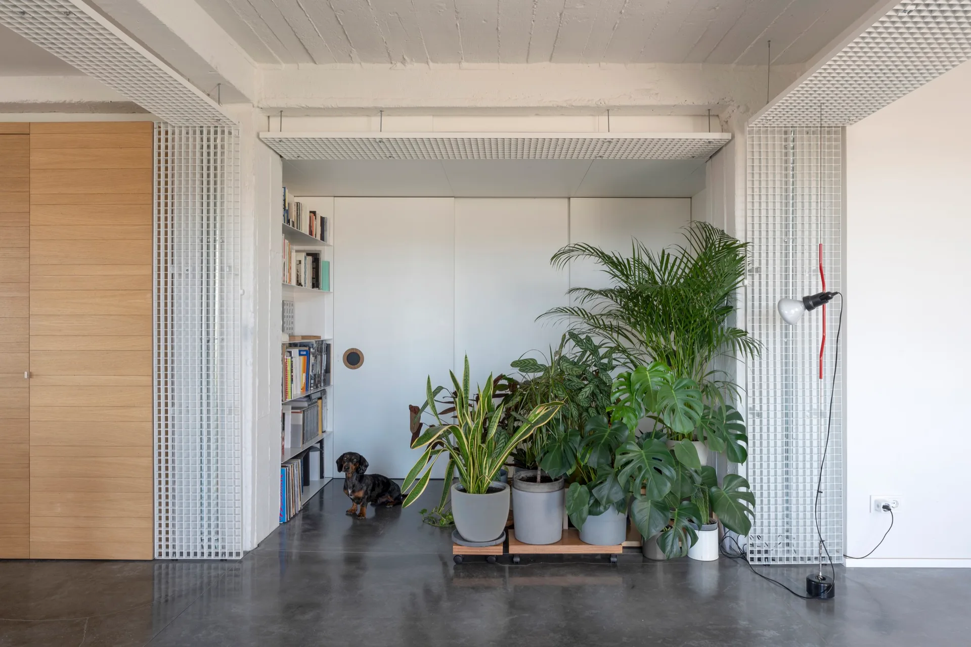 An industrial living room featuring polished concrete floors, white sliding doors flanked by wire grid panels, a built-in bookshelf, and potted plants.