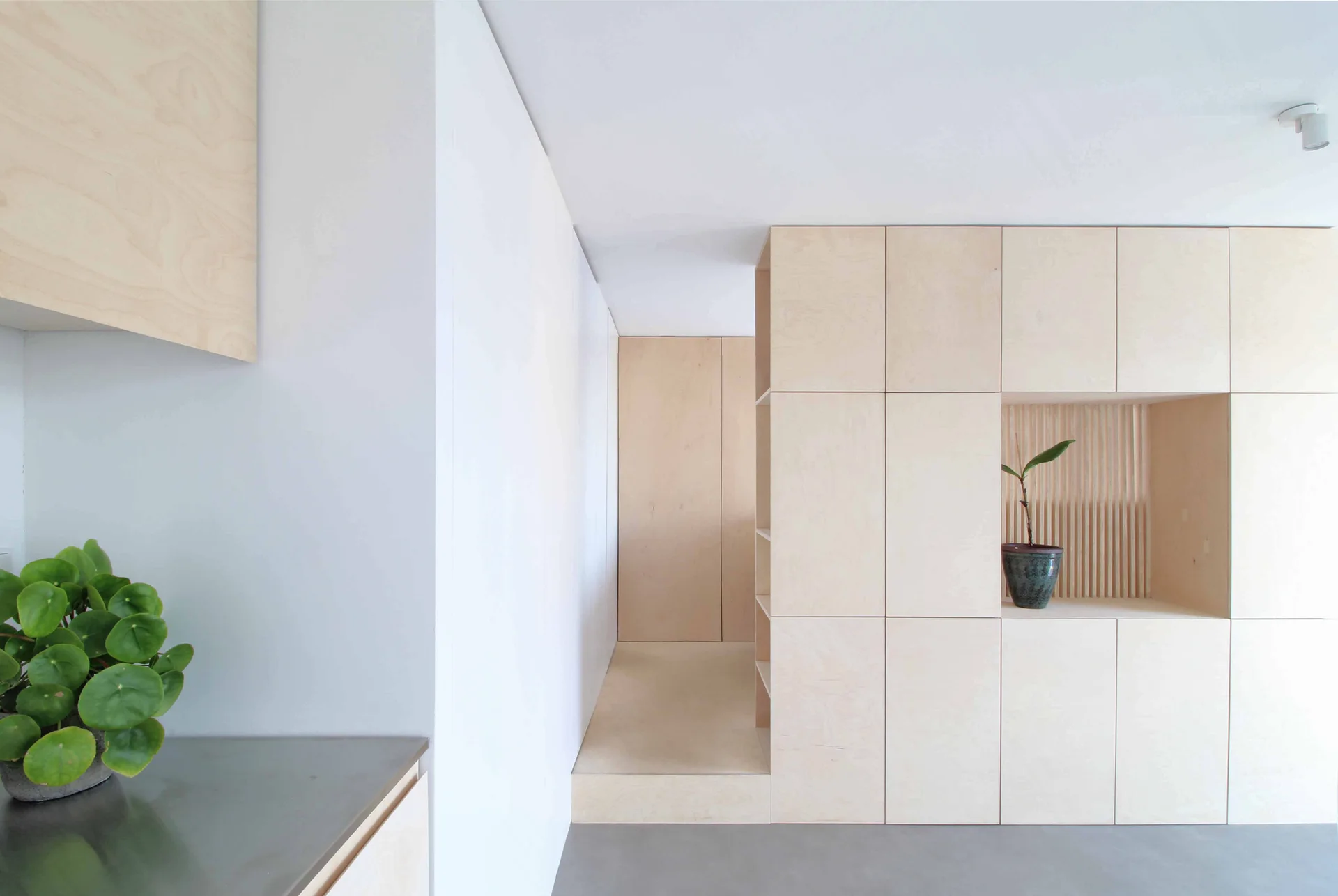 A minimalist room featuring a large light plywood storage wall with flat-front cabinets, a slatted alcove holding a plant, and smooth grey floors.