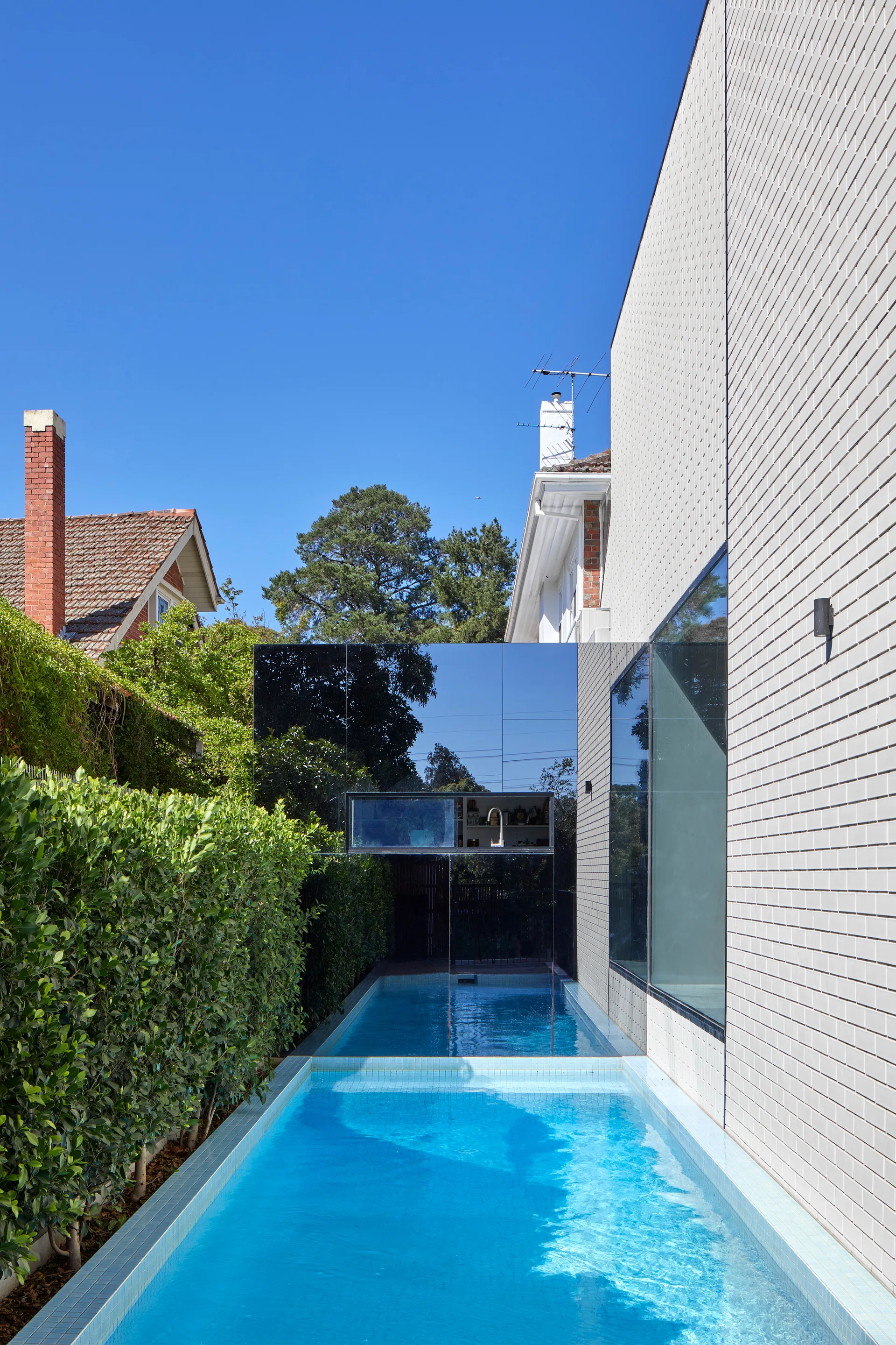 A narrow backyard lap pool flanked by a white brick wall and a green hedge, with a mirrored accent wall reflecting the sky.