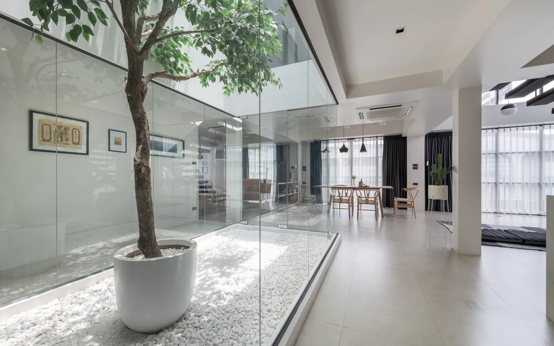 A modern home interior featuring a central glass-enclosed atrium with a tree and white pebbles next to an open dining area with a wooden table.