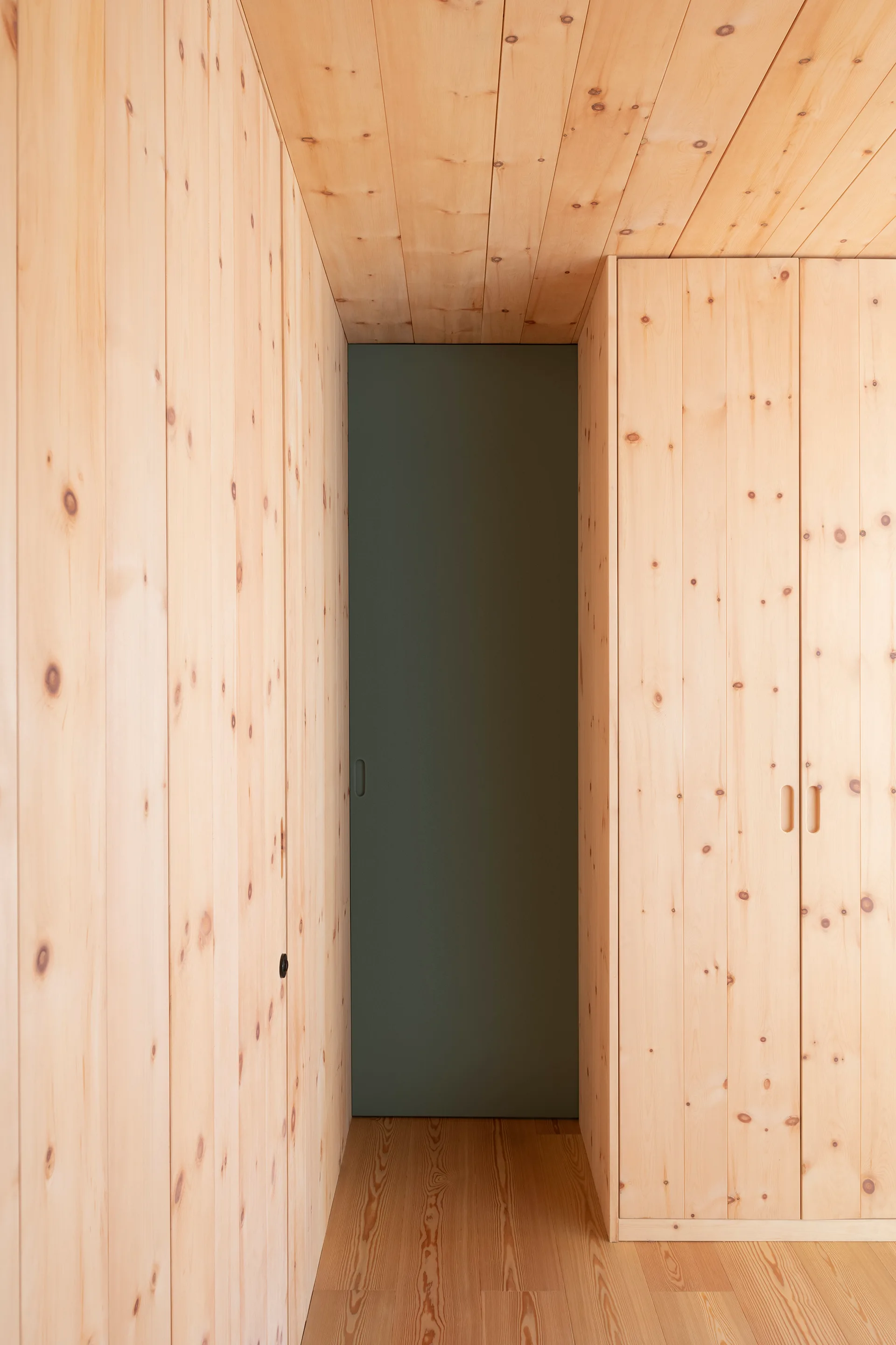 A minimalist hallway features knotty pine wood paneling on the walls, ceiling, and built-in closet, accented by a matte sage green door at the end.