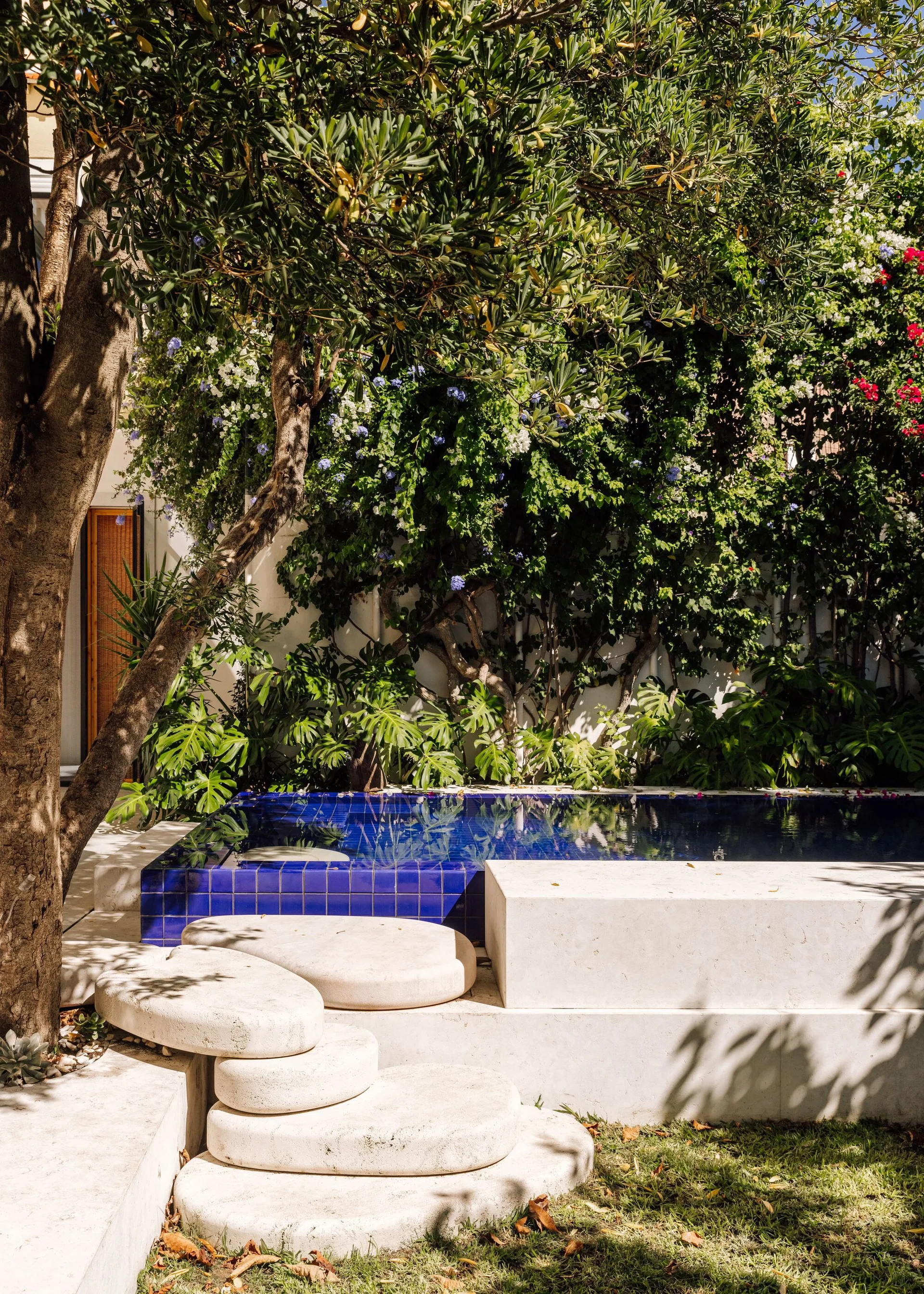 A small swimming pool with deep blue tiles is nestled in a lush green garden next to white curved stone steps and a concrete border.