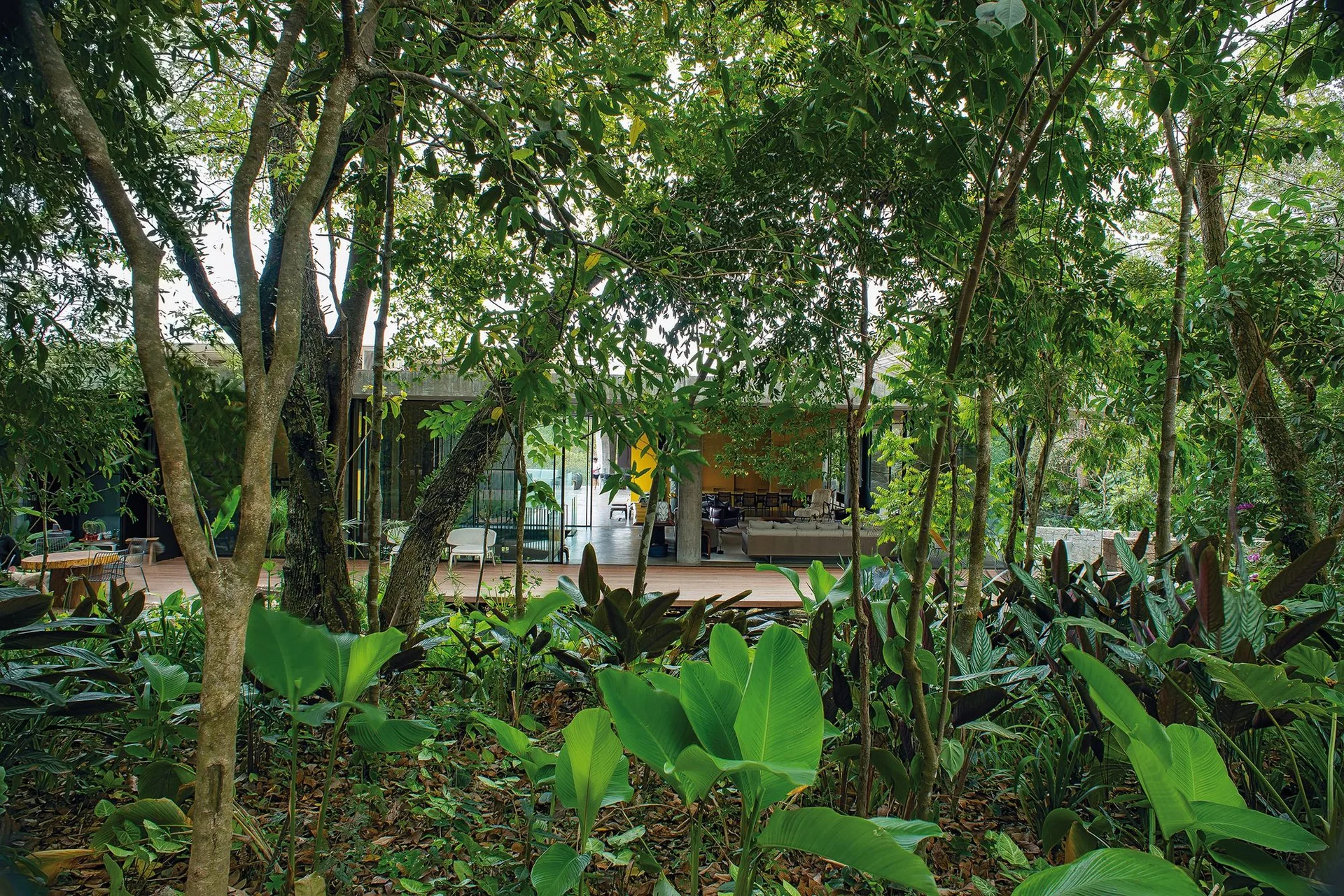 A modern modernist glass pavilion house with a wooden deck nestled inside a dense tropical forest with green trees.