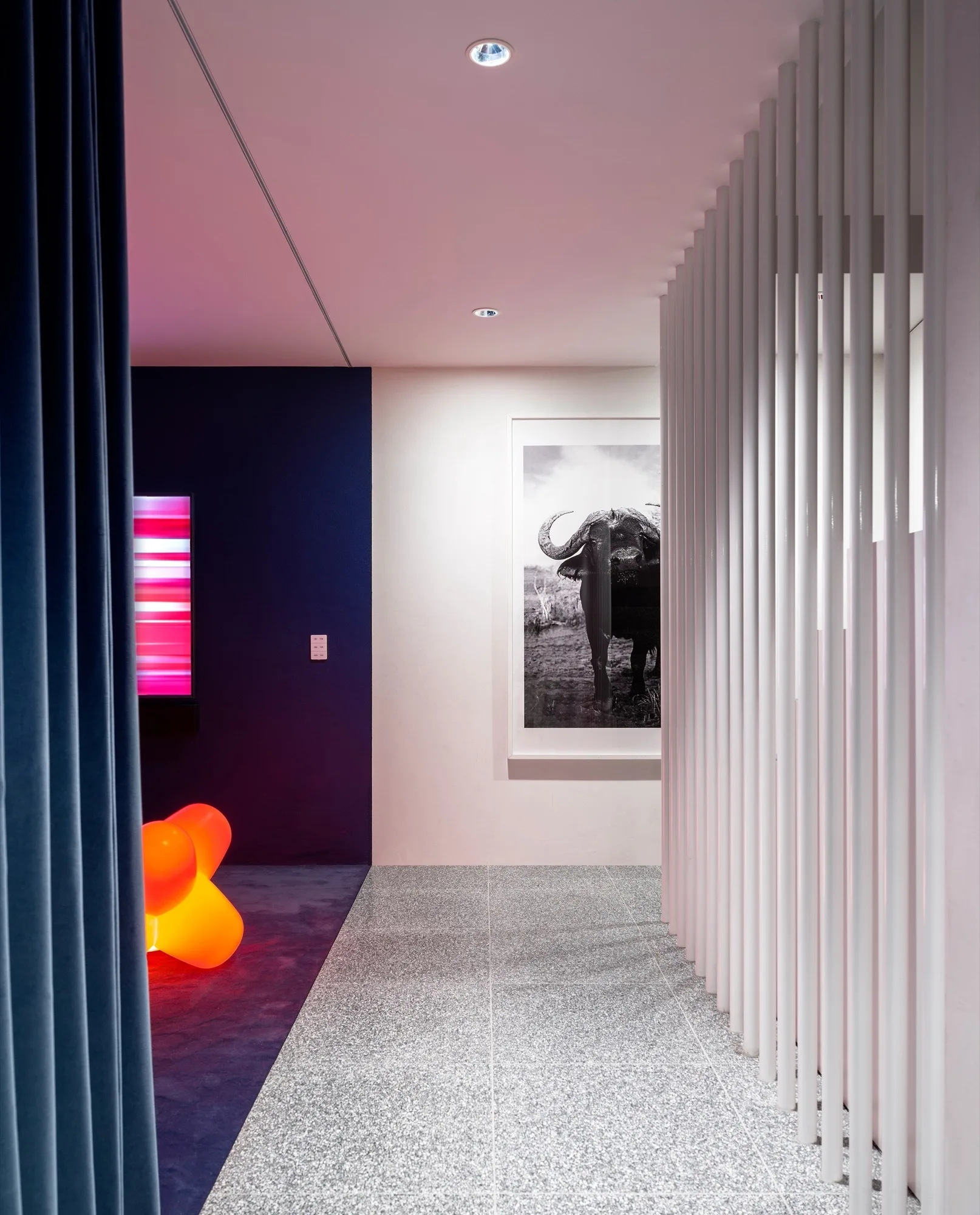 A modern hallway featuring a vertical white pole screen, grey terrazzo flooring, a deep blue wall, and framed black-and-white animal artwork.