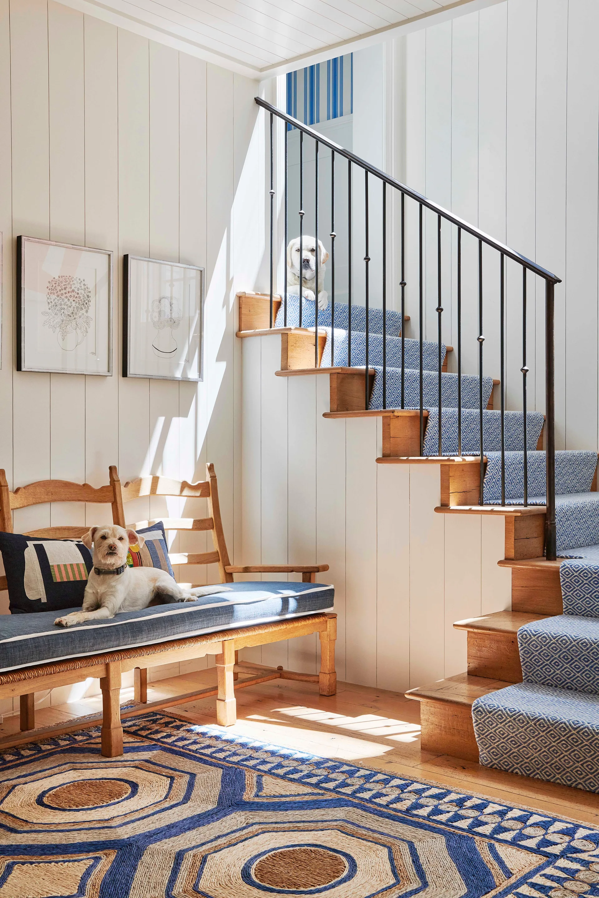 A light-filled entryway features a wooden staircase with a blue patterned runner, a black metal railing, and a matching wooden bench.