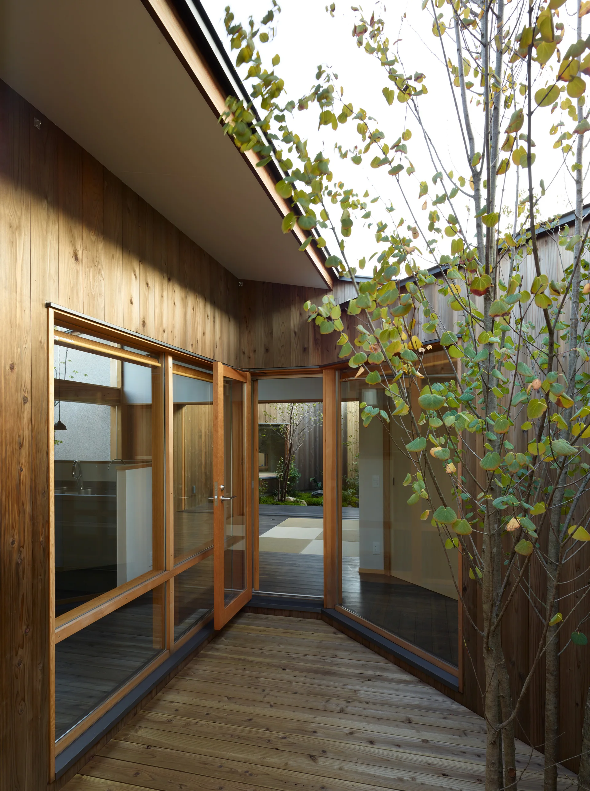 A modern courtyard features vertical timber wall cladding, wooden decking, a small tree, and wood-framed glass doors leading indoors.